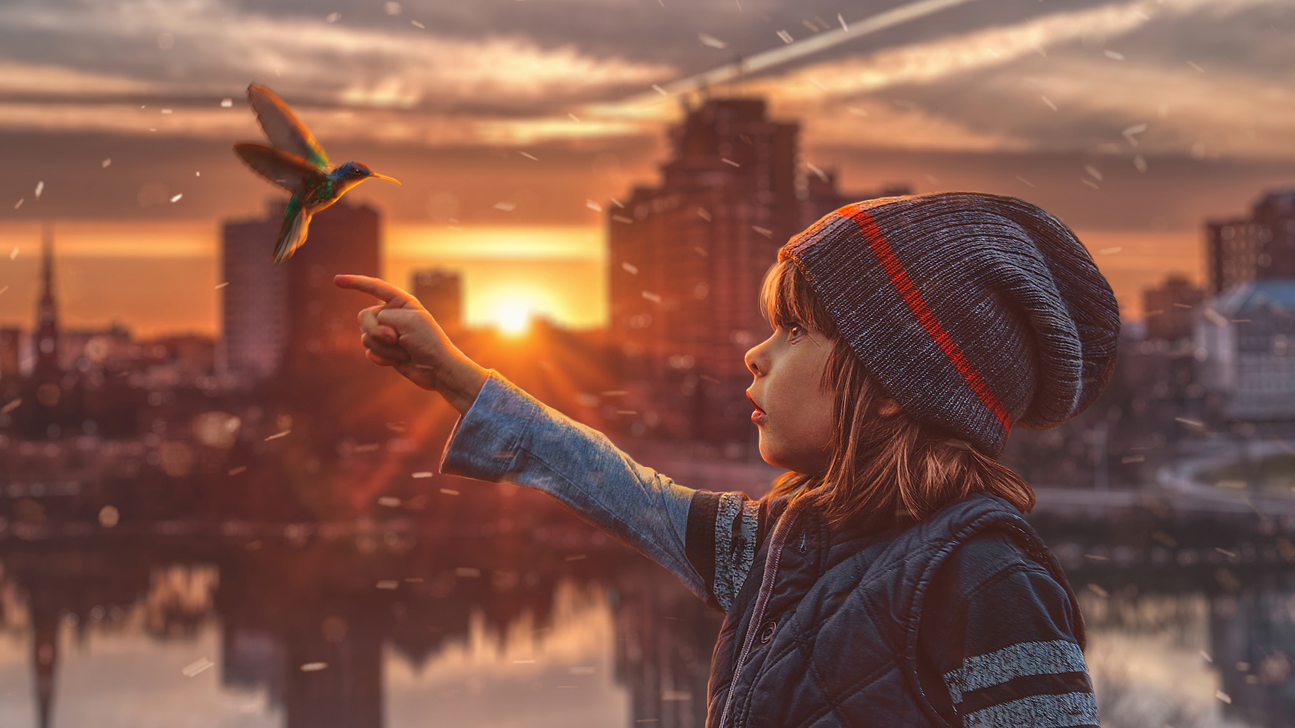 温馨一刻 儿童 蜂鸟