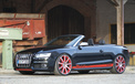 Audi 奥迪 汽车 跑车  2012Y十一月03D 儿童桌面专用