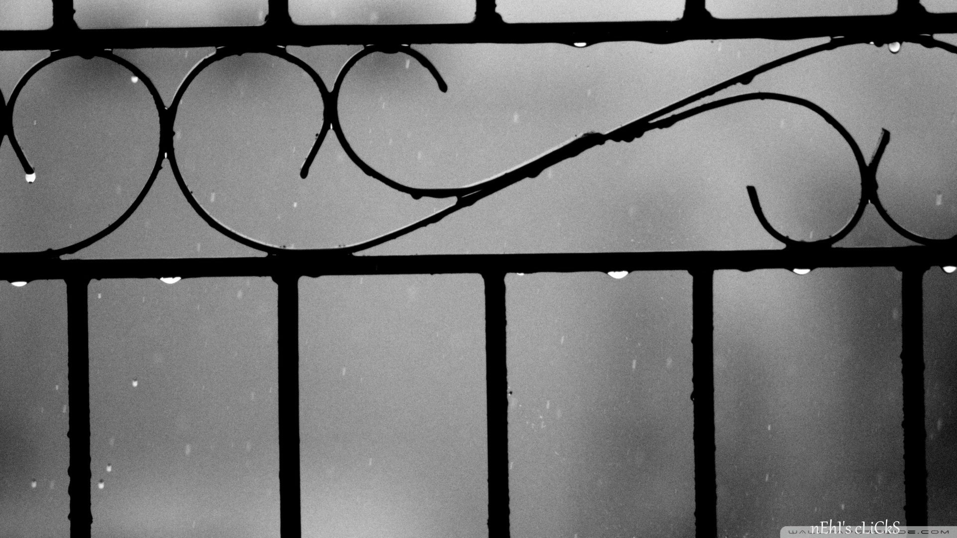 小清新 静物 摄影 光斑