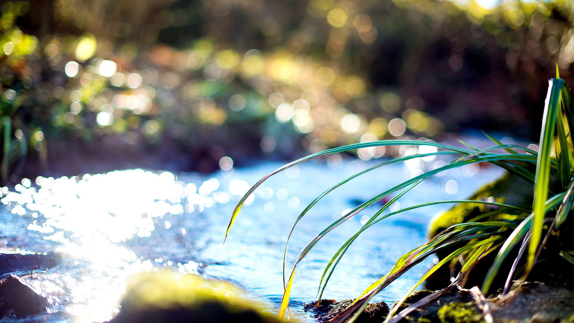 小清新 风景 摄影