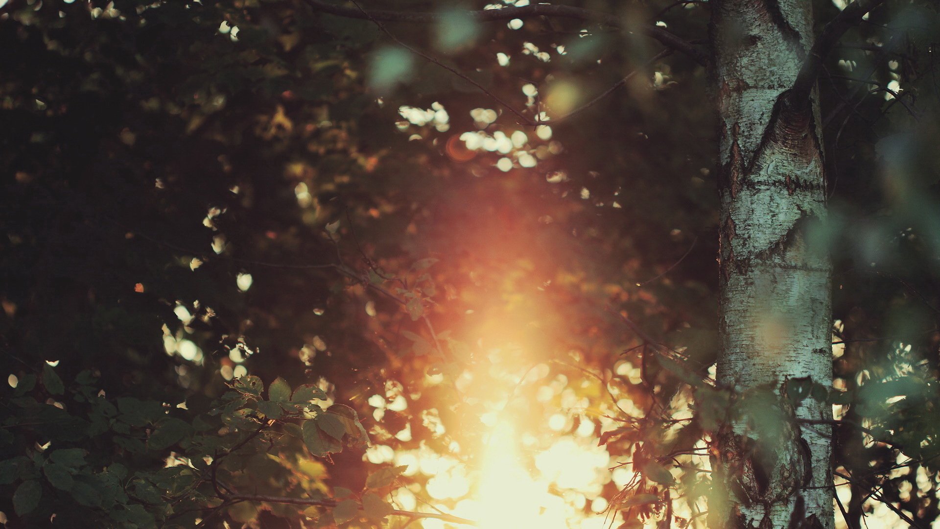 小清新 光 摄影