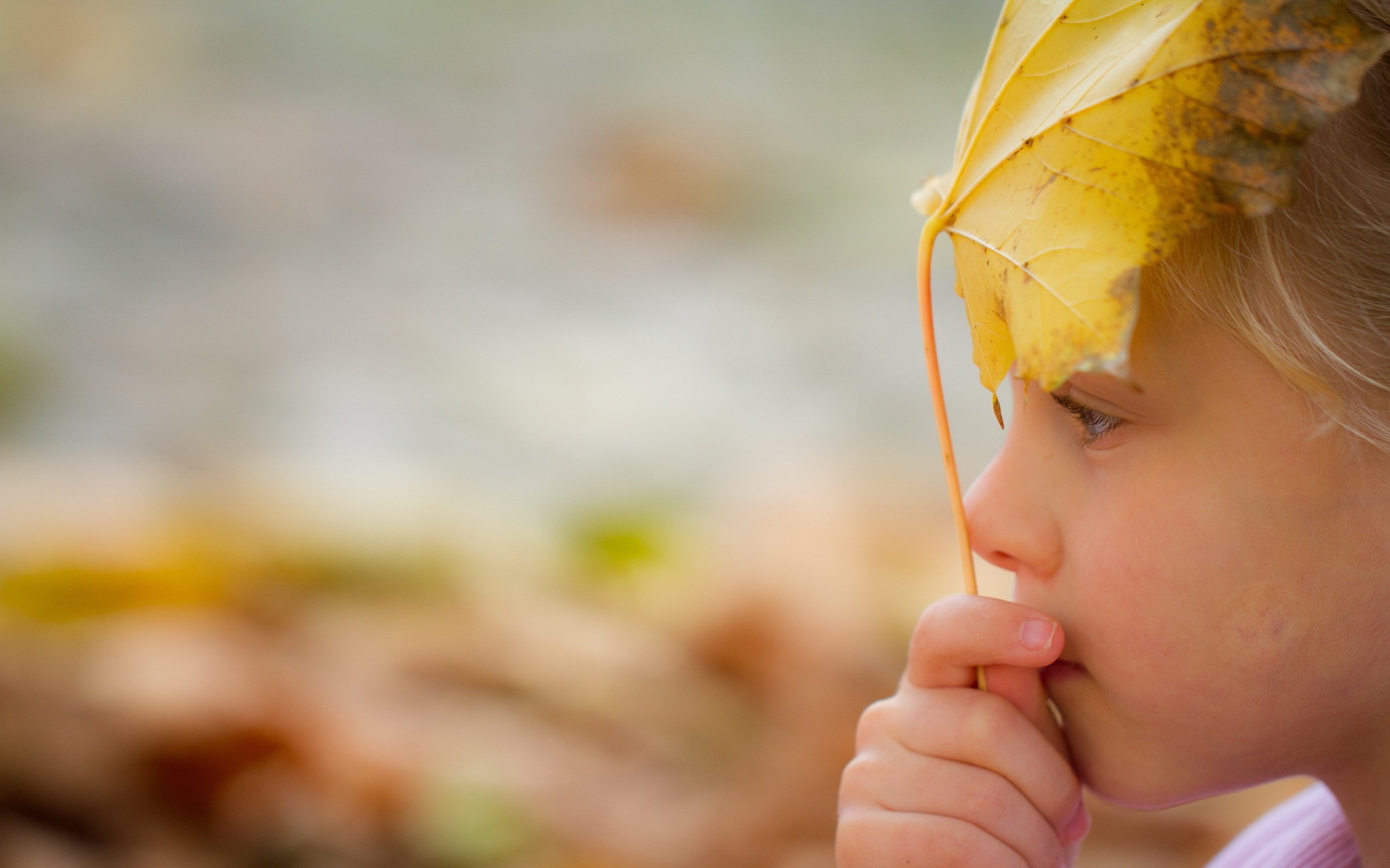 小清新 摄影 唯美 非主流 意境  儿童桌面专用