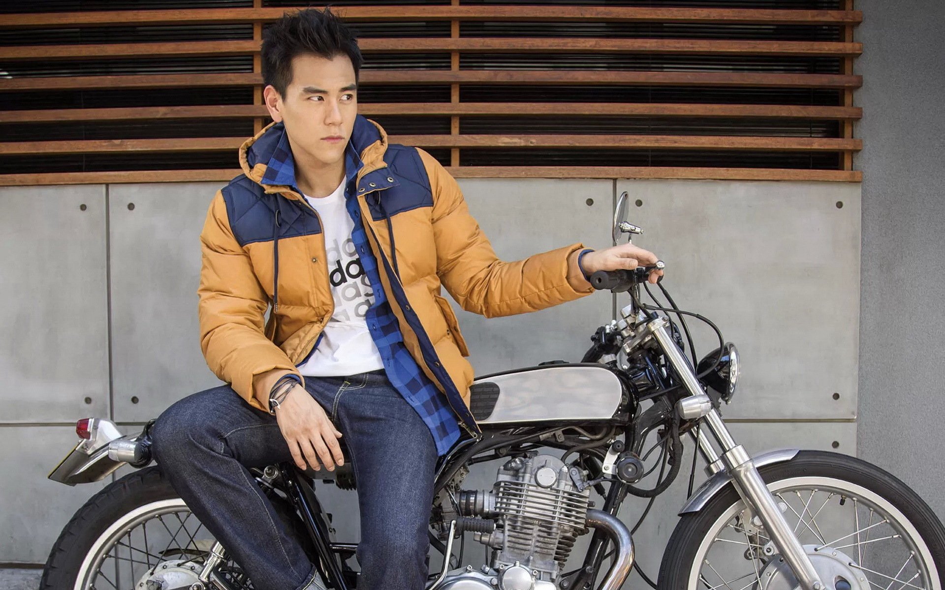 彭于晏 明星 帅哥 型男