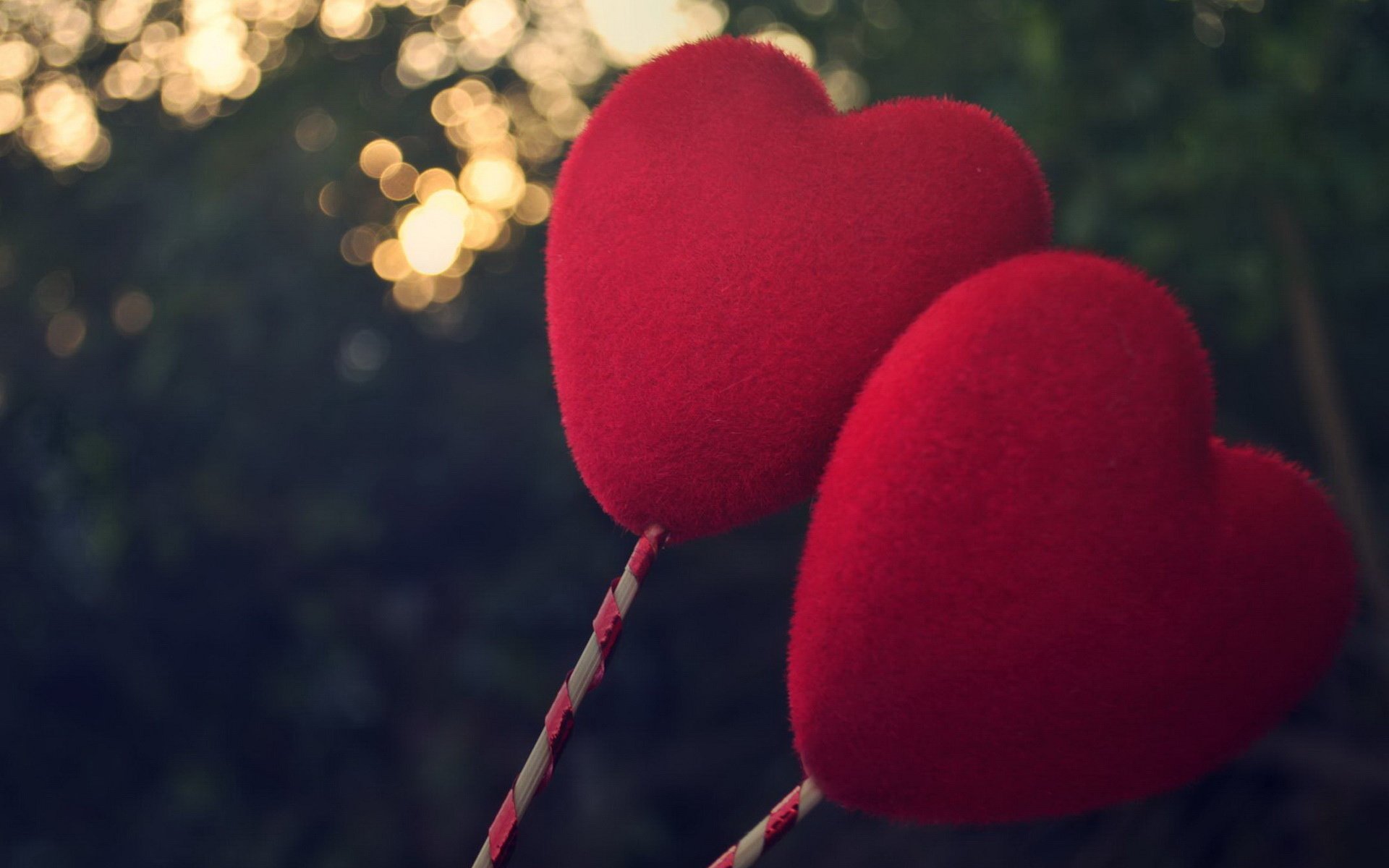 情感 爱情 恋爱