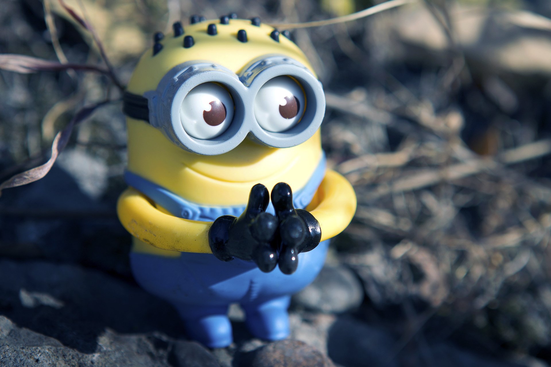 电影 卑鄙的我 神偷奶爸 小黄人 摄影 小黄人专辑