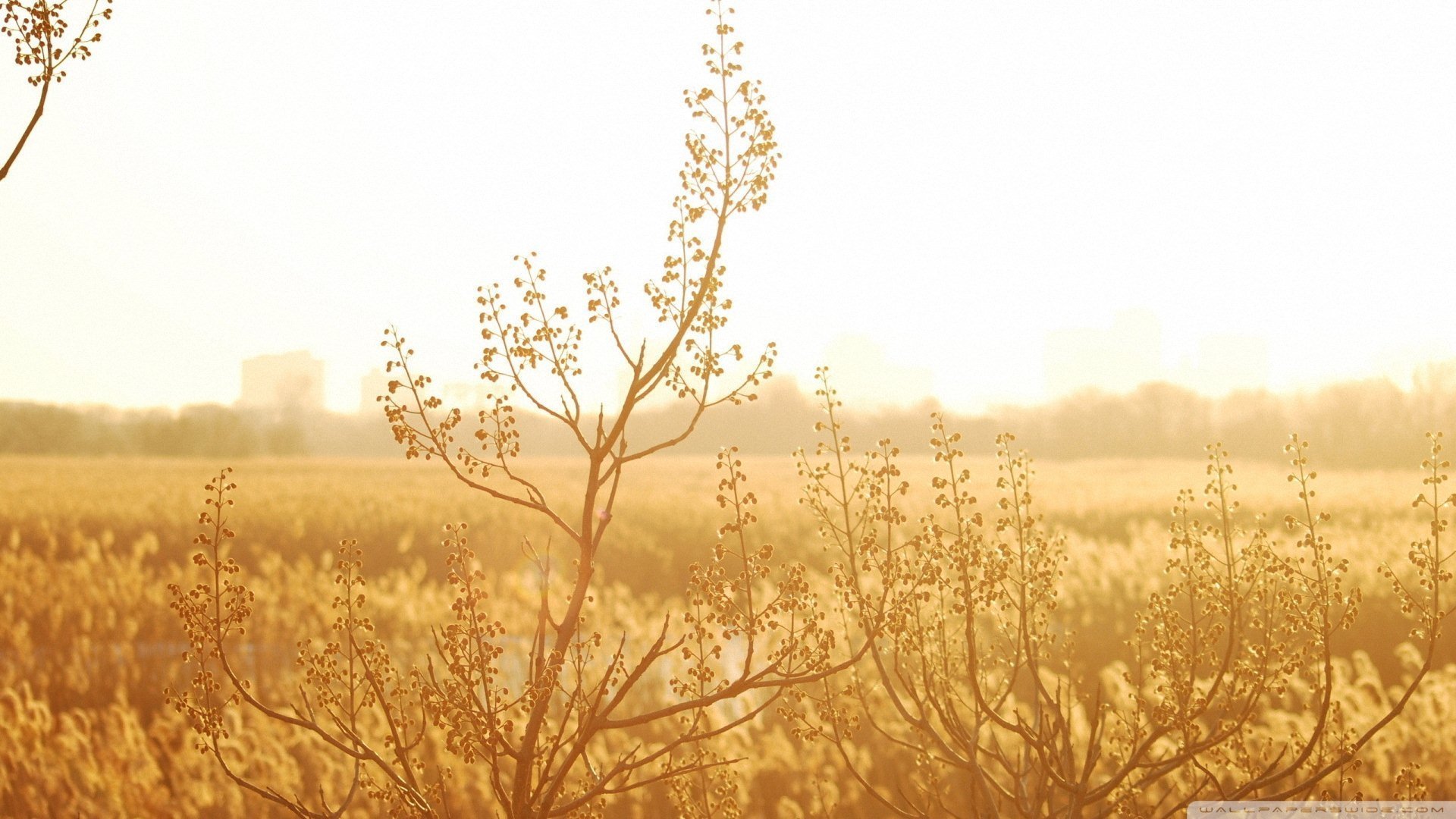 小清新 唯美 温暖 安静 阳光 温馨 儿童桌面专用
