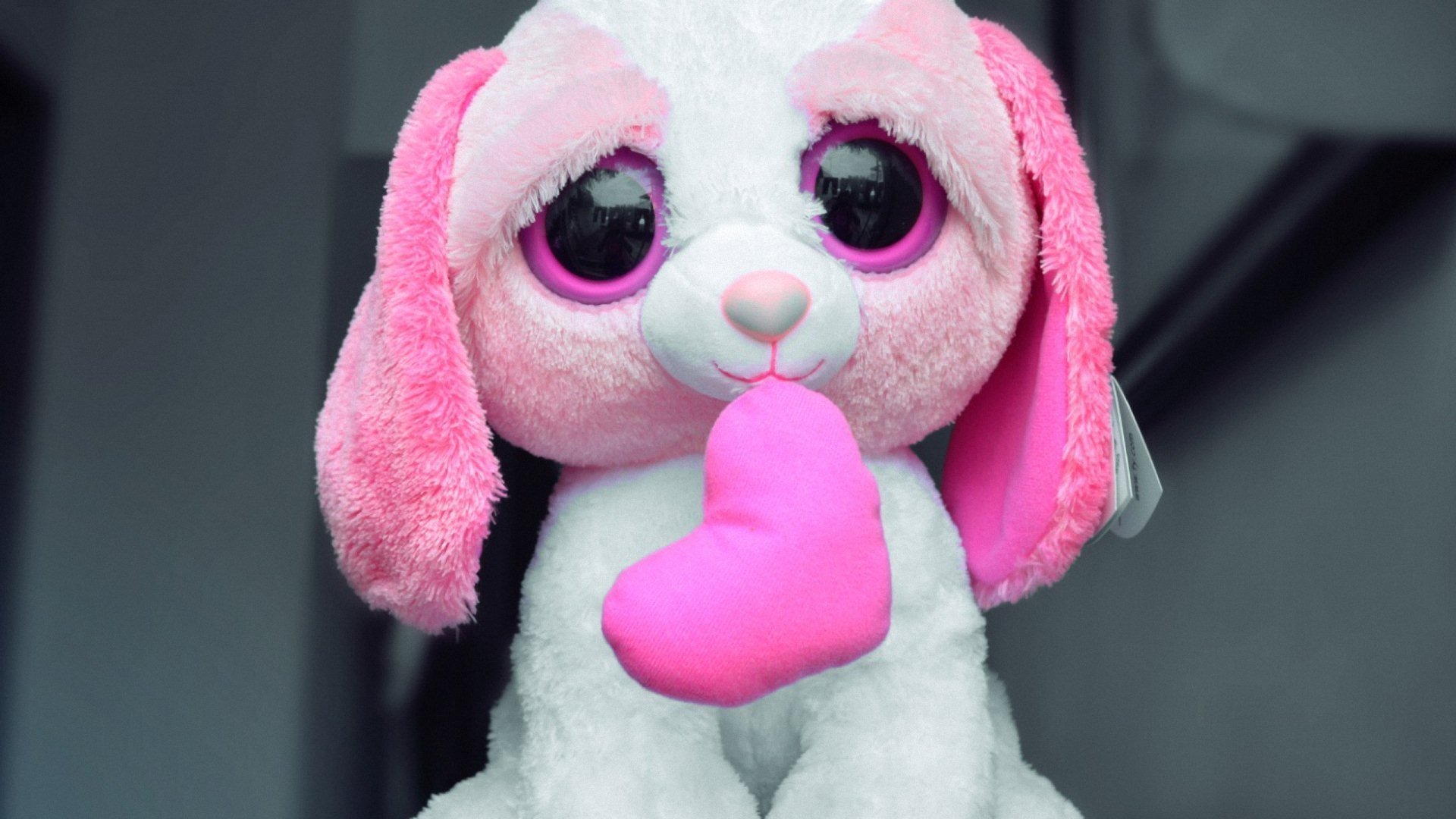 小清新 唯美 温暖 安静 阳光 温馨 儿童桌面专用