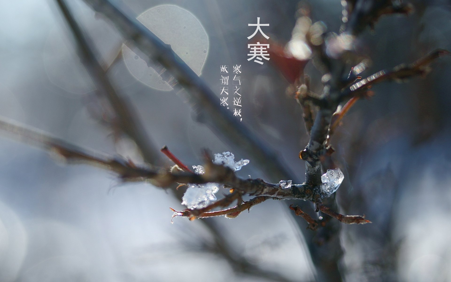 二十四节气 24节气 节气 风景 自然 风光 节日 大寒