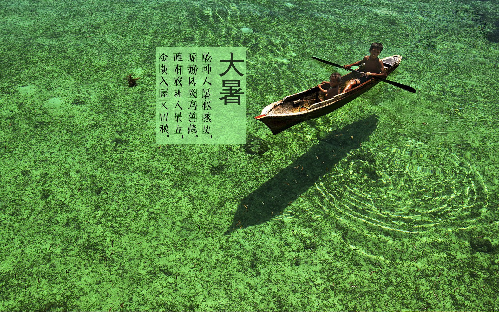 二十四节气 24节气 节气 风景 自然 风光 节日 大暑