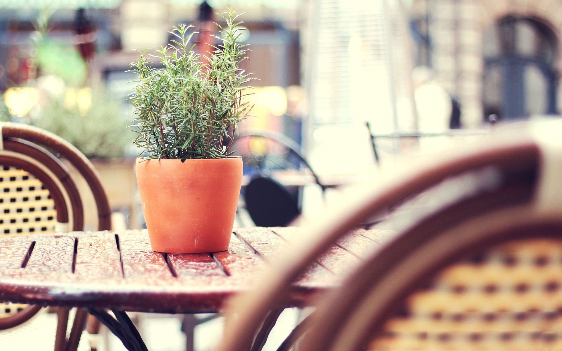 小清新 唯美 温馨 温暖 阳光 治愈系 安静 生活 慢生活 清新淡雅 温馨一刻 静物写真