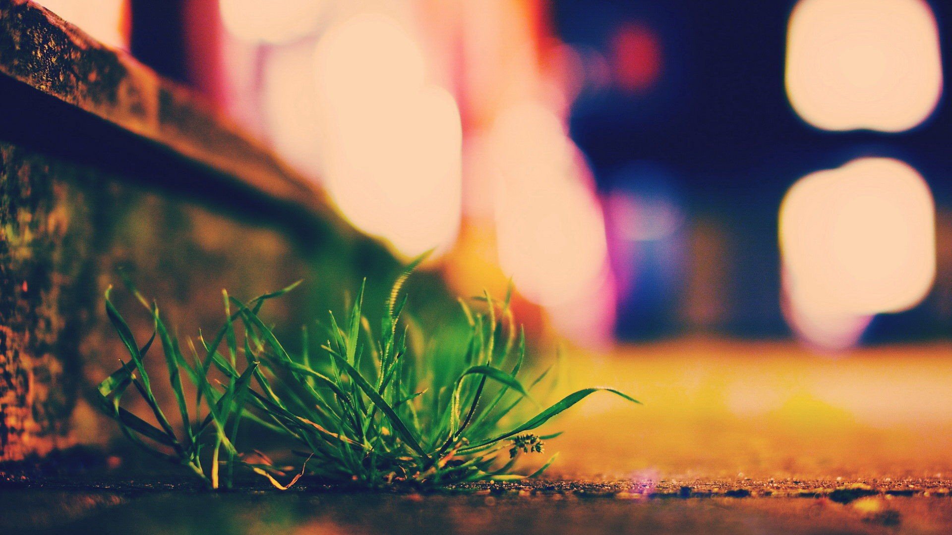 小清新 唯美 温馨 温暖 阳光 治愈系 安静 生活 慢生活 清新淡雅 温馨一刻 日系小清新 海边