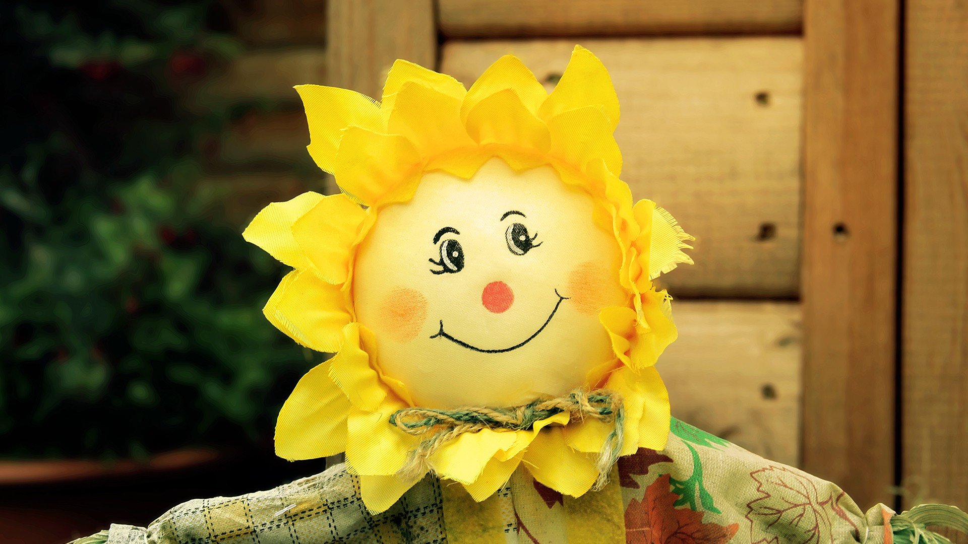 小清新 唯美 温馨 温暖 阳光 治愈系 安静 生活 慢生活 清新淡雅 温馨一刻 静物写真 物语  太阳花 玩具 笑容