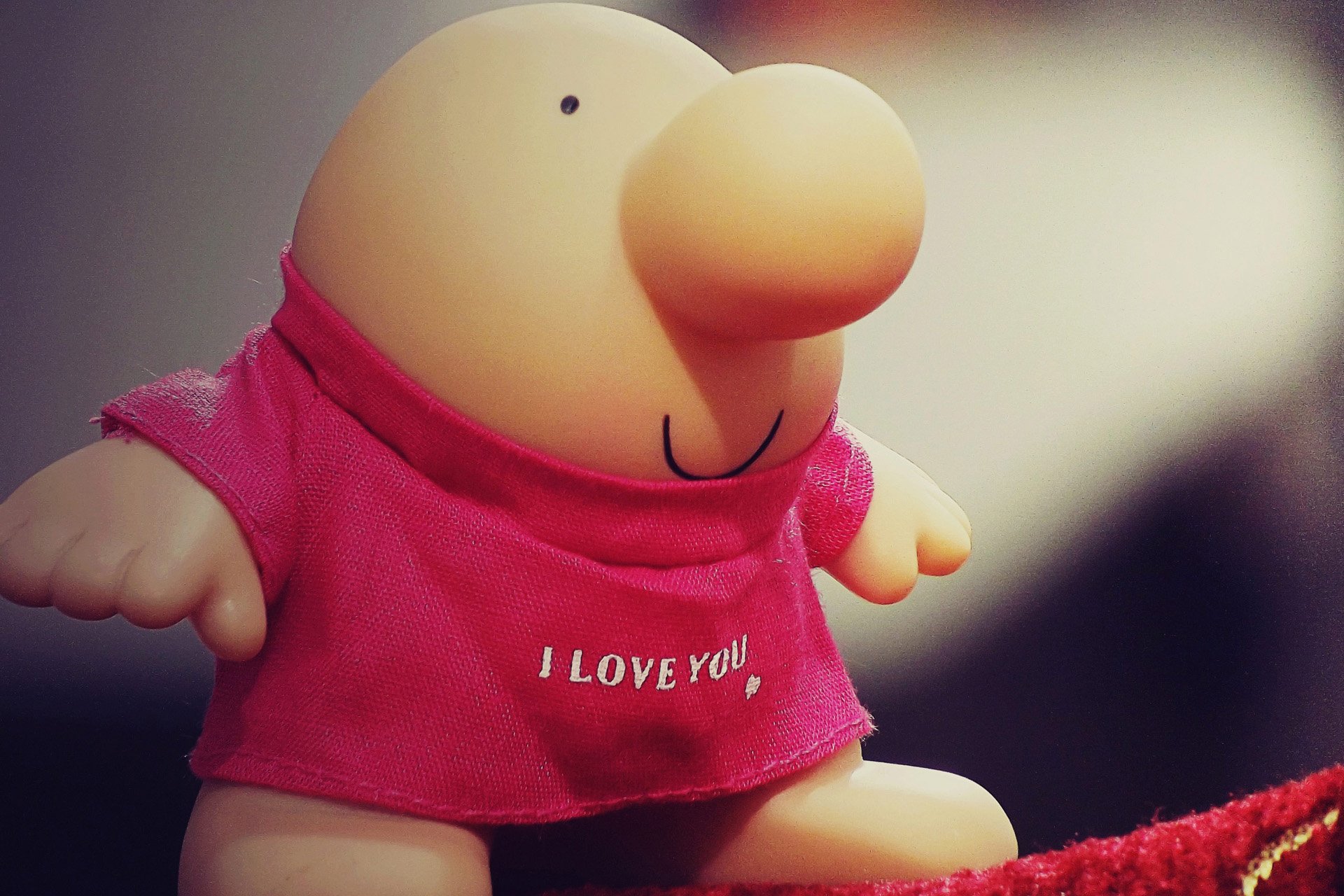 小清新 唯美 温馨 温暖 阳光 治愈系 安静 生活 慢生活 清新淡雅 温馨一刻 静物写真 物语