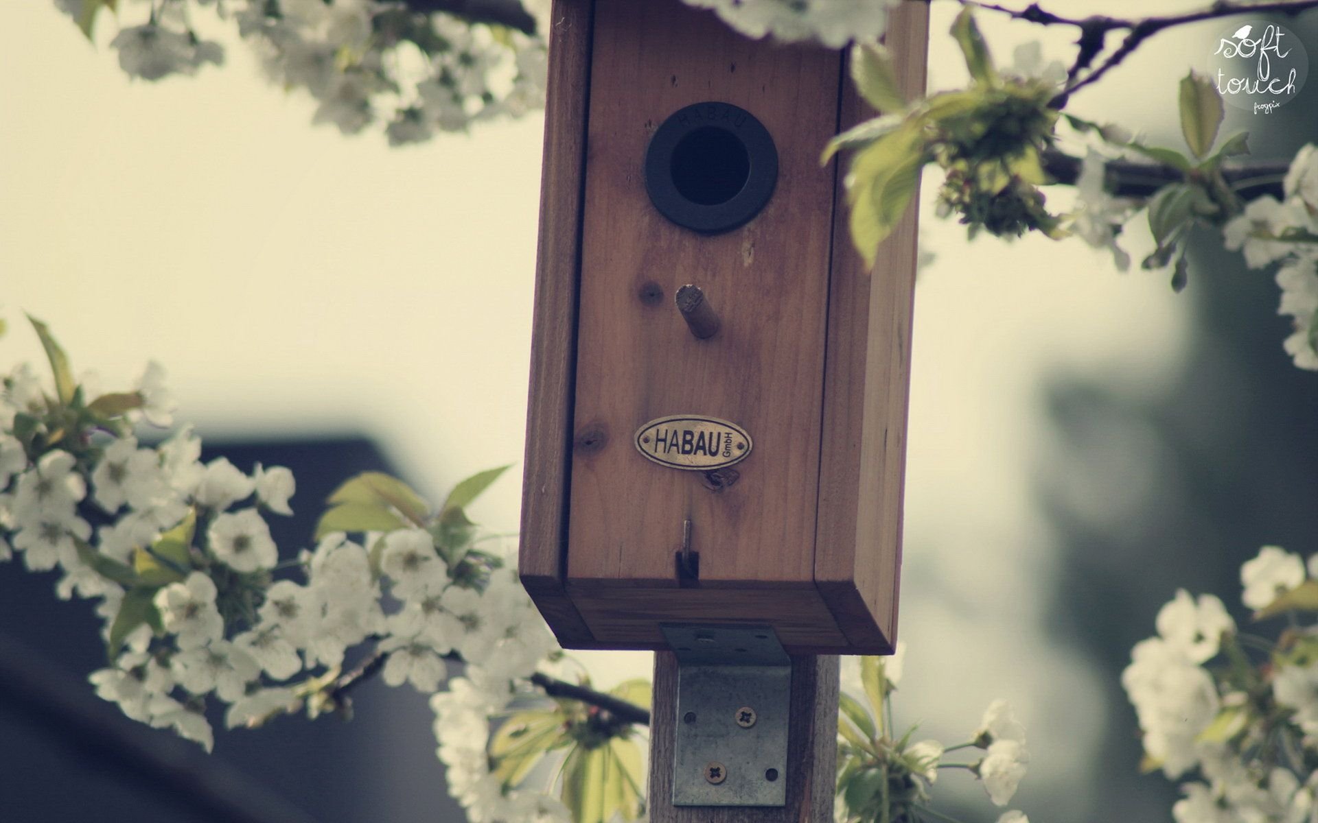 小清新 唯美 温馨 温暖 阳光 治愈系 安静 生活 慢生活 清新淡雅 温馨一刻 静物写真 物语