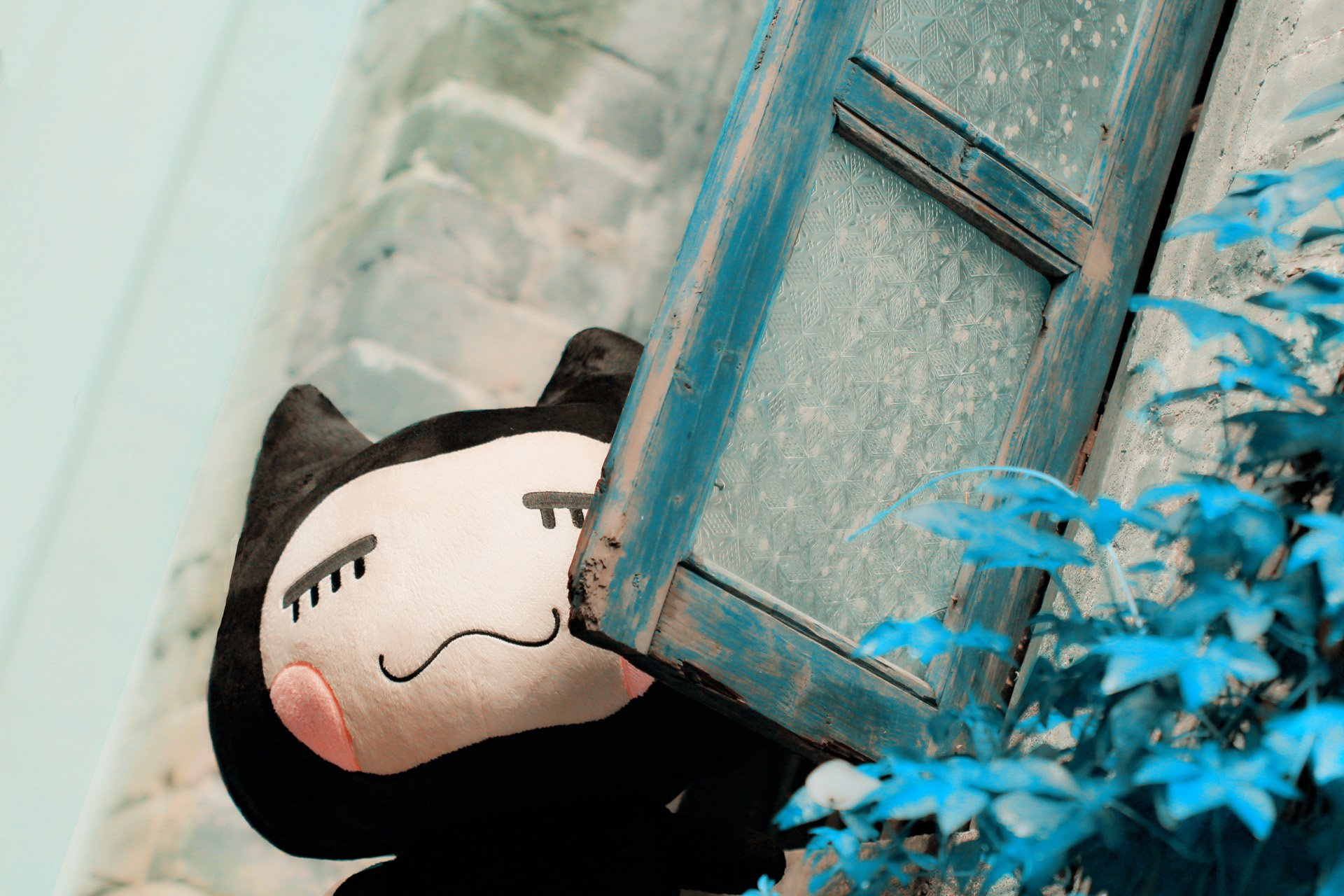 小清新 唯美 温馨 温暖 阳光 治愈系 安静 生活 慢生活 清新淡雅 温馨一刻 窗外