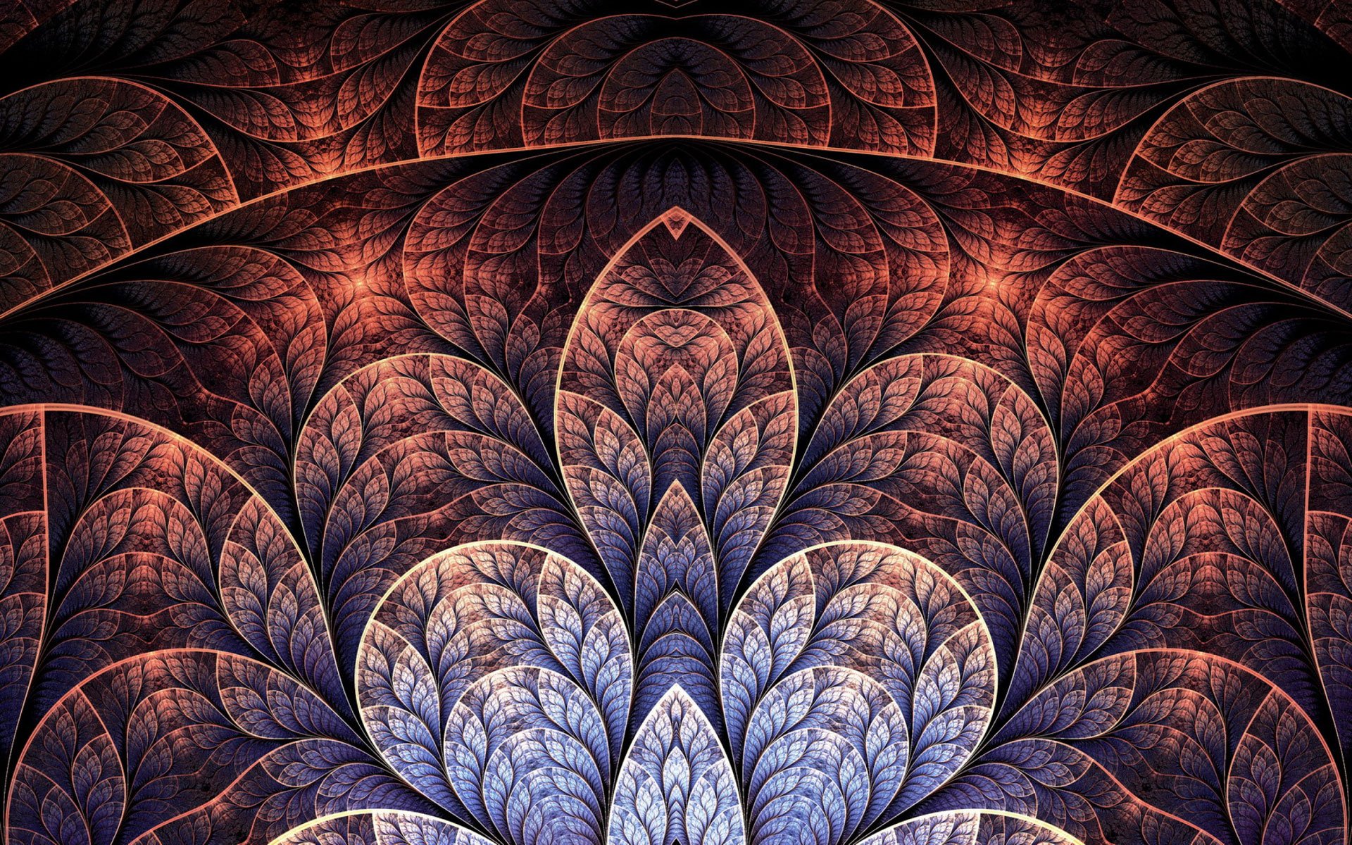 炫酷 特效 视觉艺术分形艺术  花 艺术 设计 色彩 炫彩