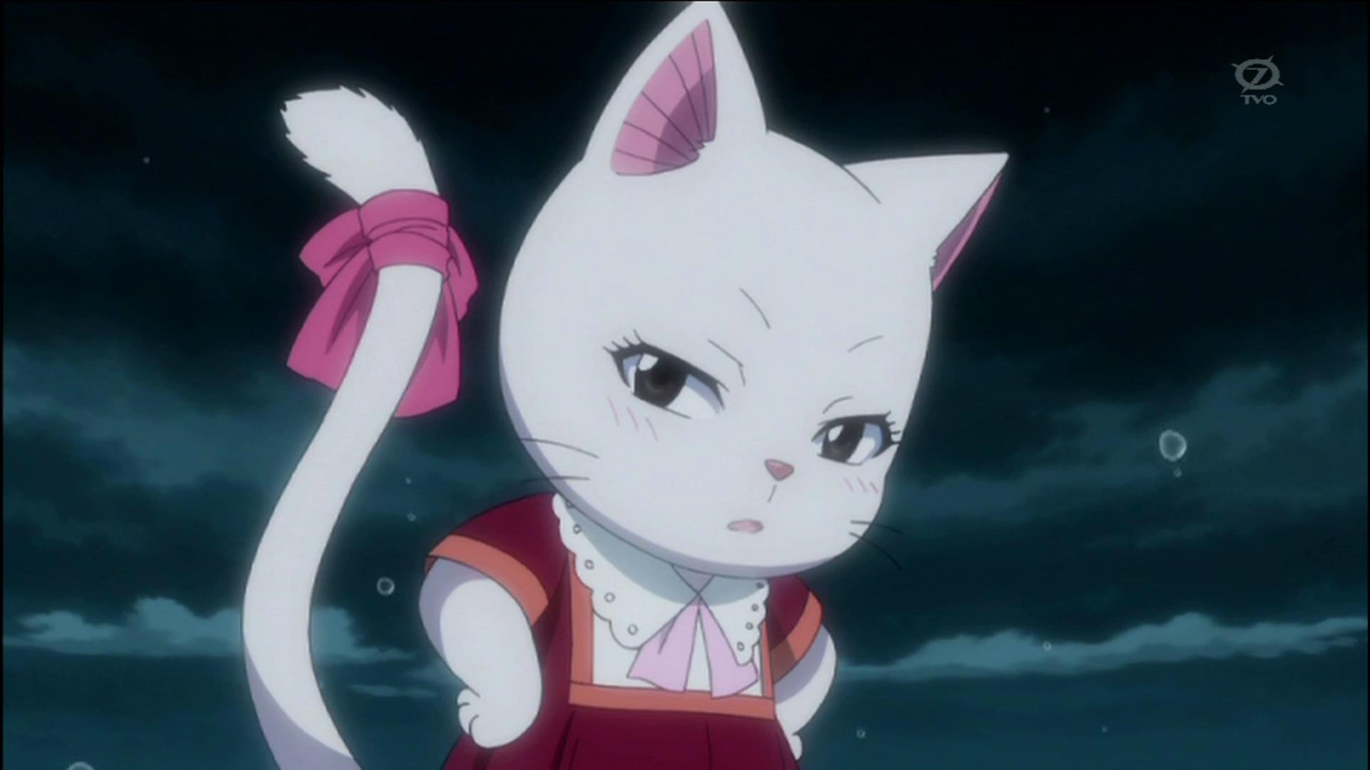 动漫 卡通 手绘  妖精的尾巴