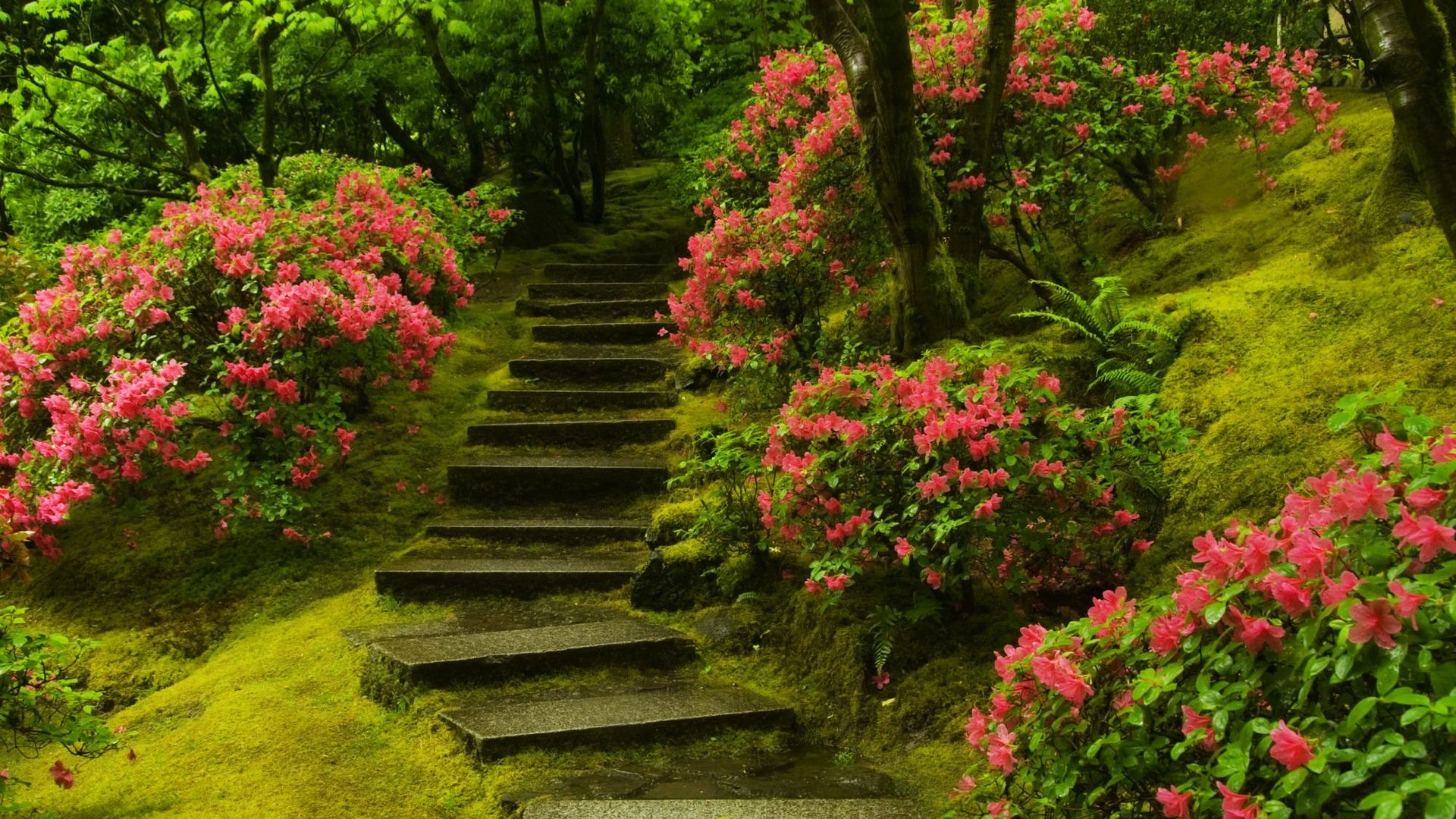 自然 风光 风景 路 前方 方向 前进