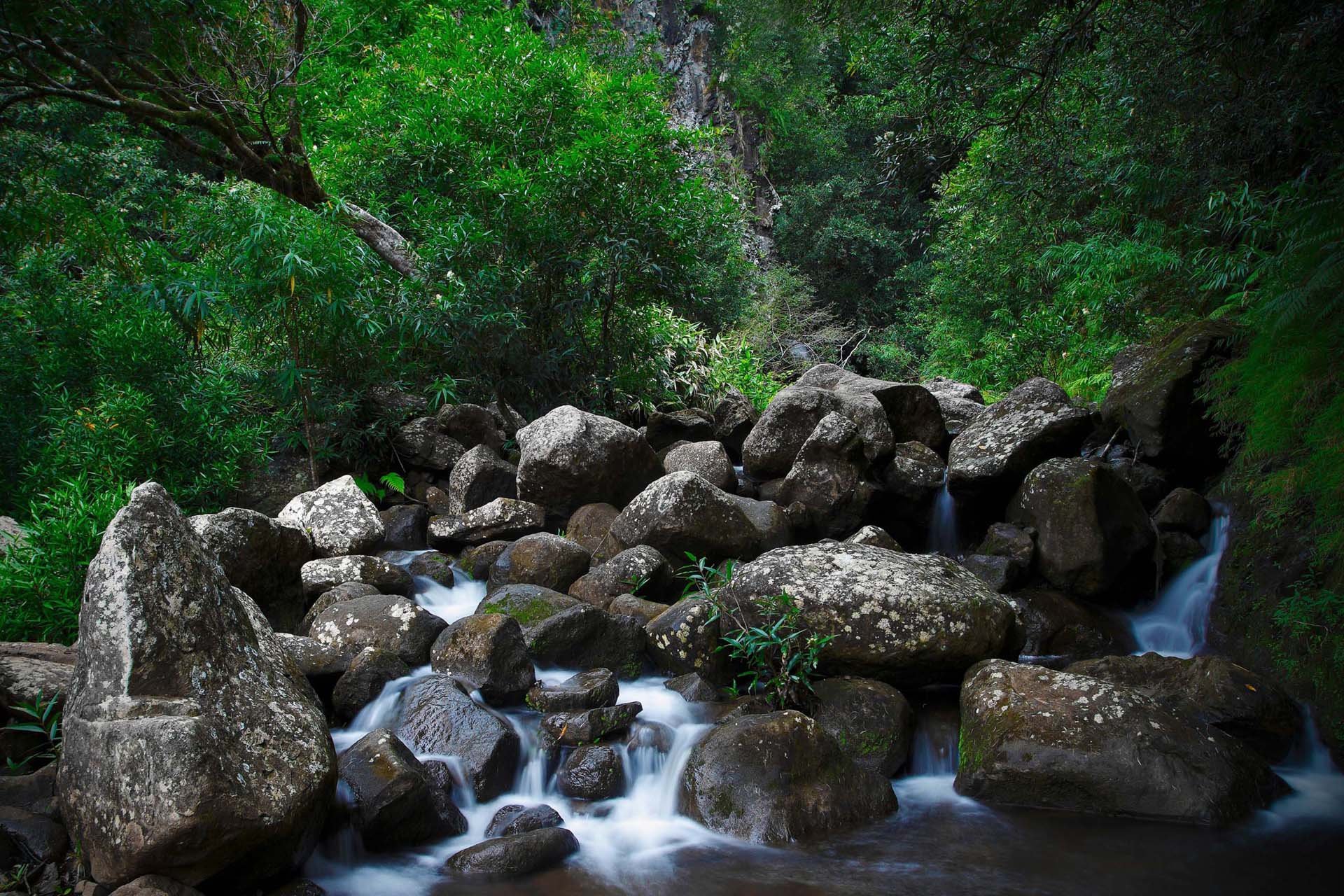 自然 风光 风景 绿色养眼