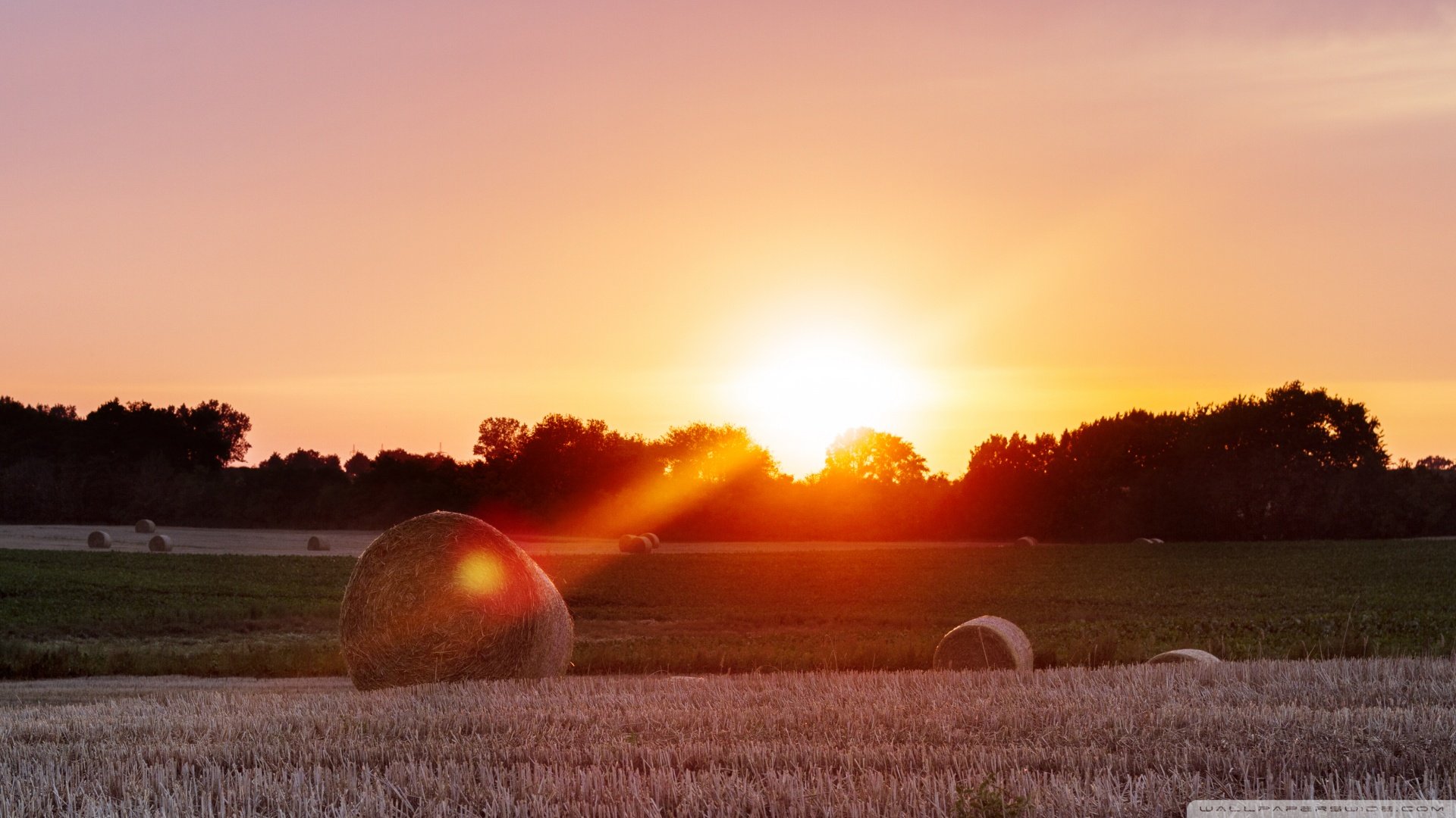 自然 风光 风景 落日余晖 夕阳 黄昏 傍晚 唯美