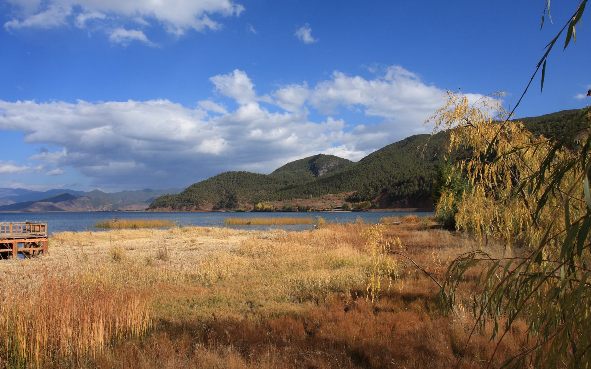 自然 风光 风景 秋天 秋意正浓