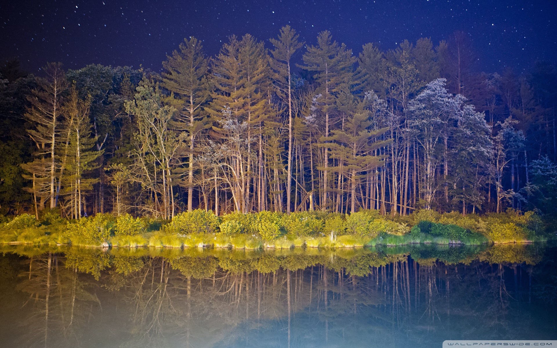 自然 风光 风景 夜景 夜晚 安静 宁静