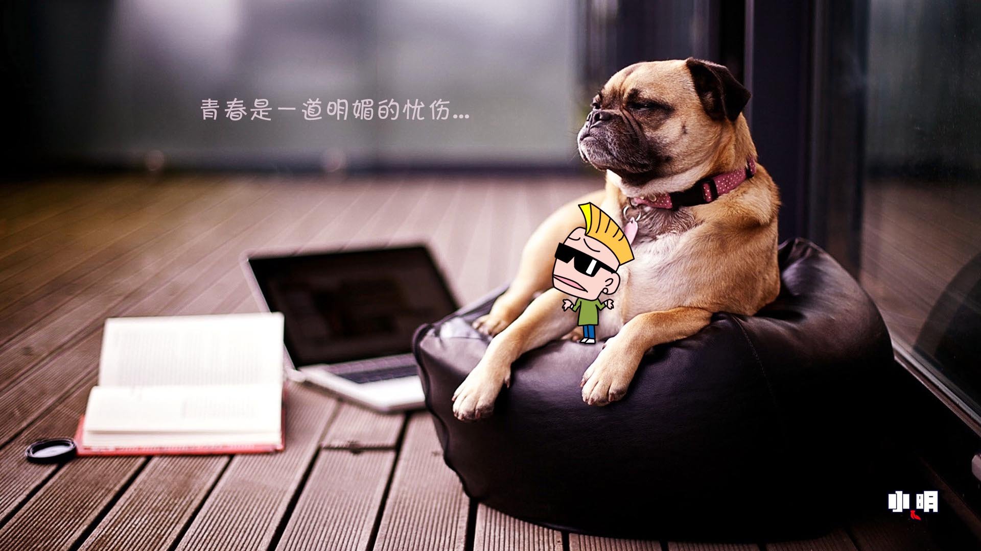 小明壁纸 文字 搞笑 恶搞