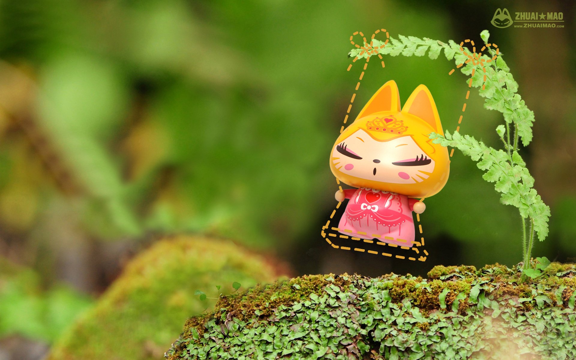 拽猫 可爱 动漫 摄影 静物微距