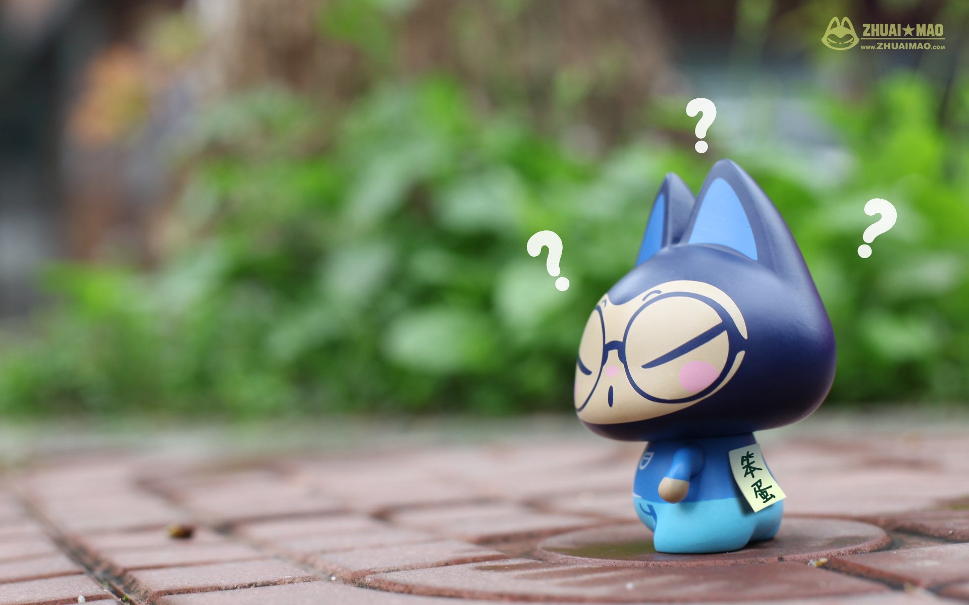 拽猫 可爱 动漫 摄影 静物微距