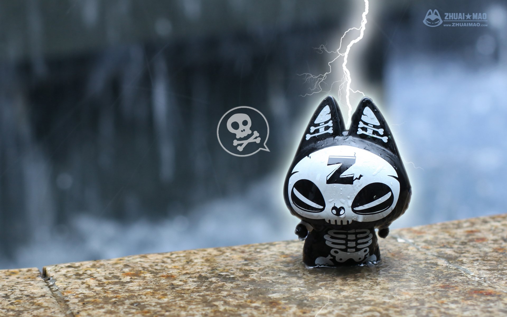 拽猫 可爱 动漫 摄影 静物微距