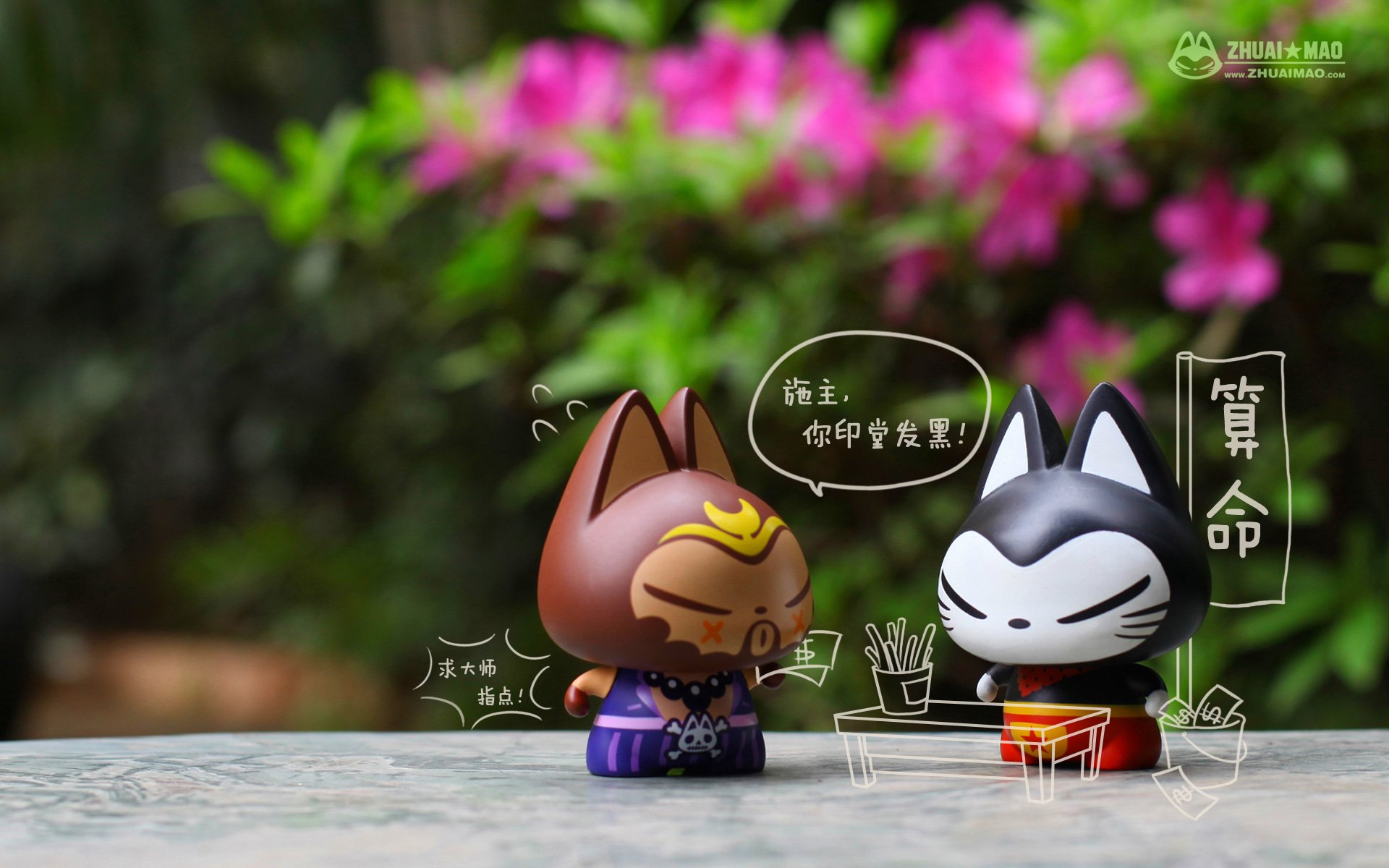 拽猫 可爱 动漫 摄影 静物微距 文字 愚人节 恶搞 搞笑