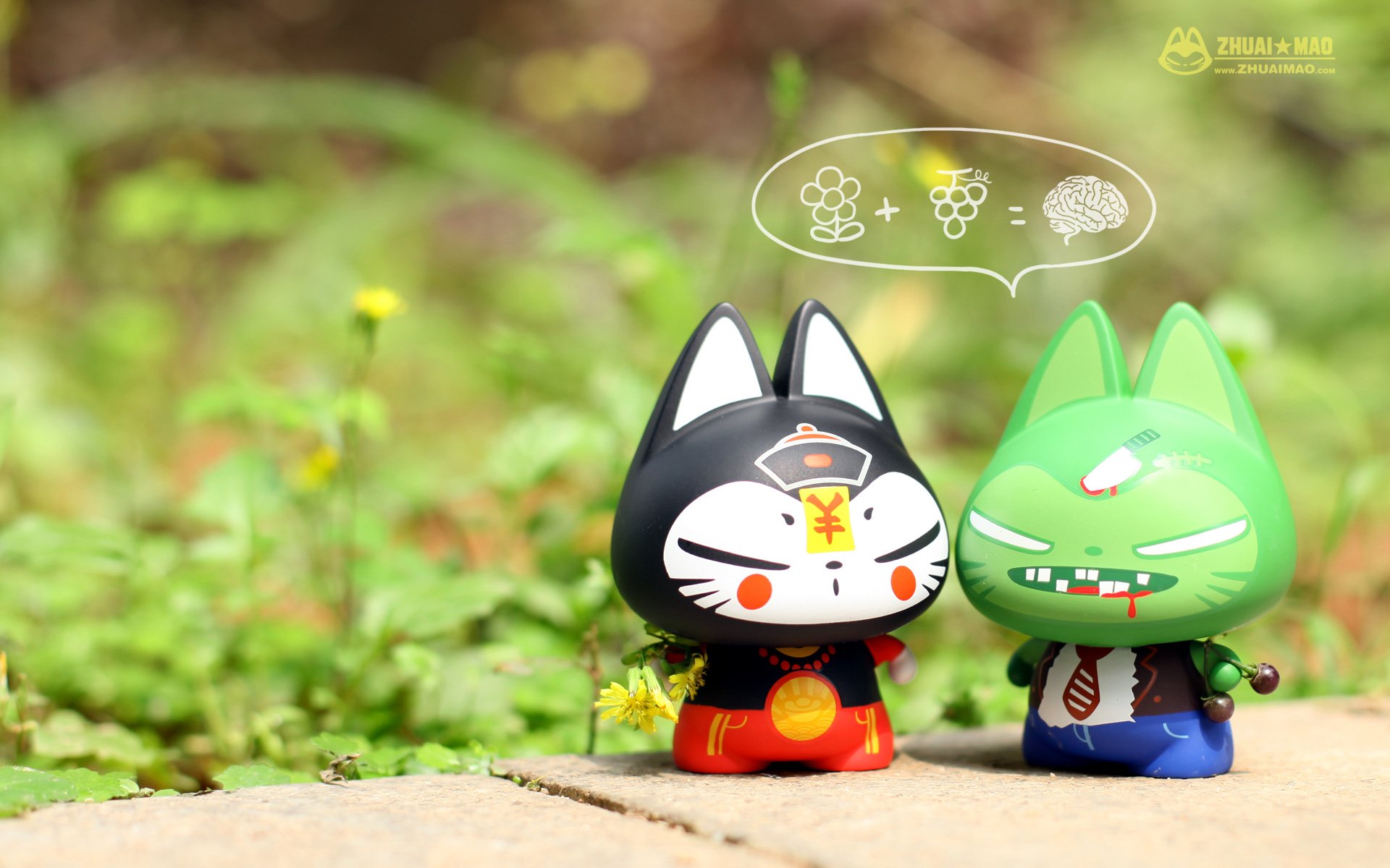 拽猫 可爱 动漫 摄影 静物微距 文字 愚人节 恶搞 搞笑