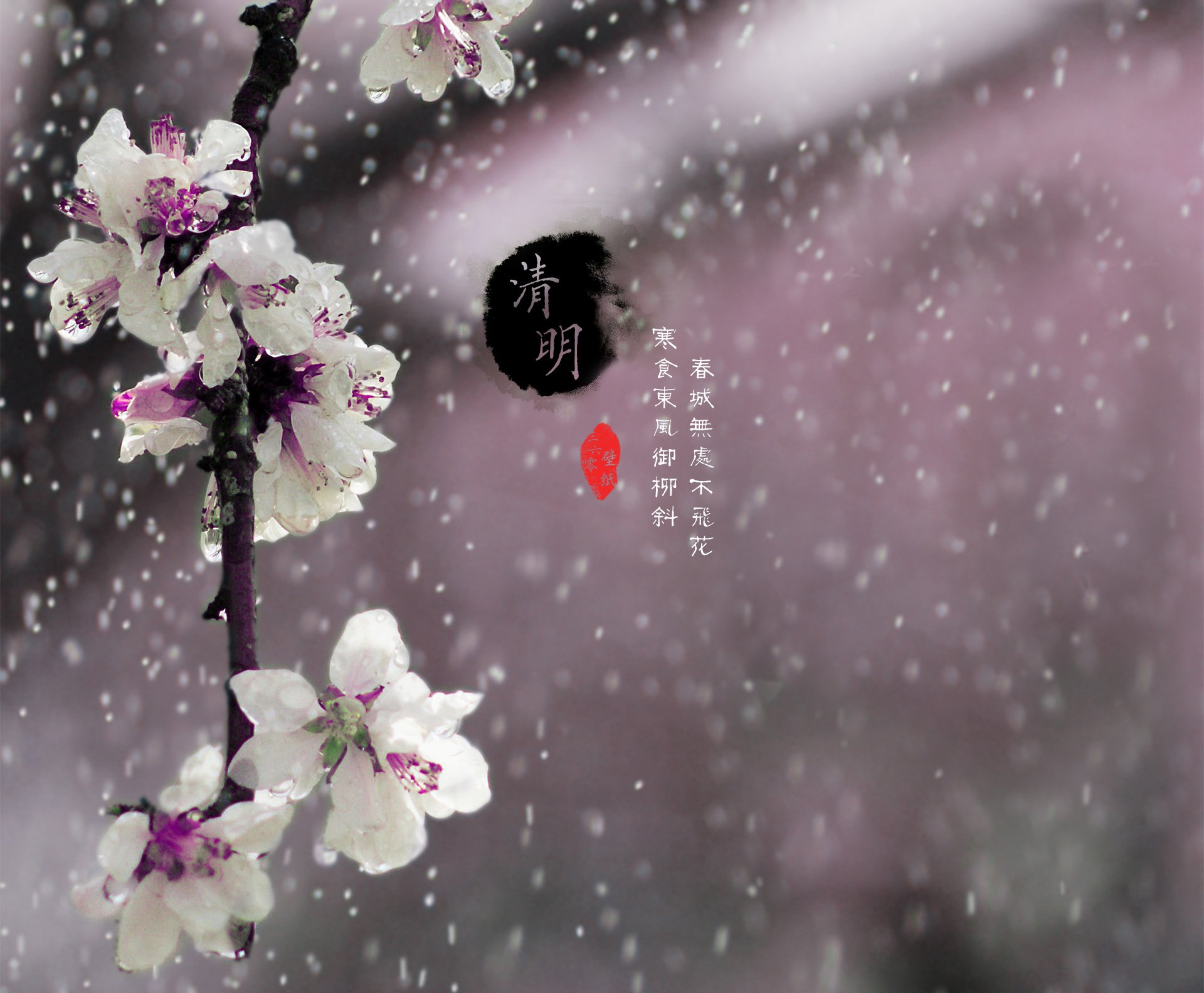 清明节 古风 古诗 诗句 意境 节气 24节气 二十四节气 @姑凉_你又瘦了