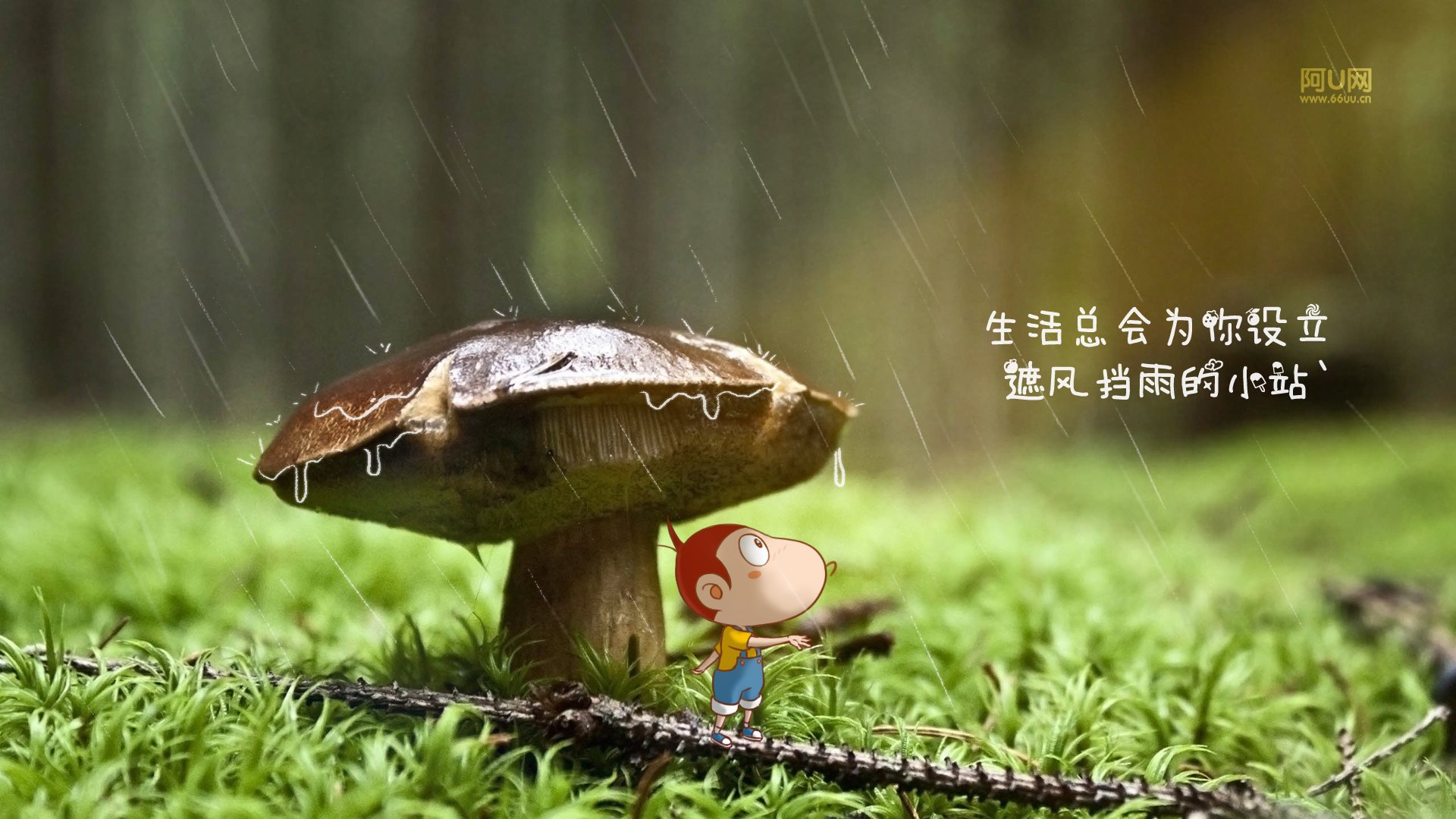 动漫卡通 手绘 阿U 阿U的旅行日记