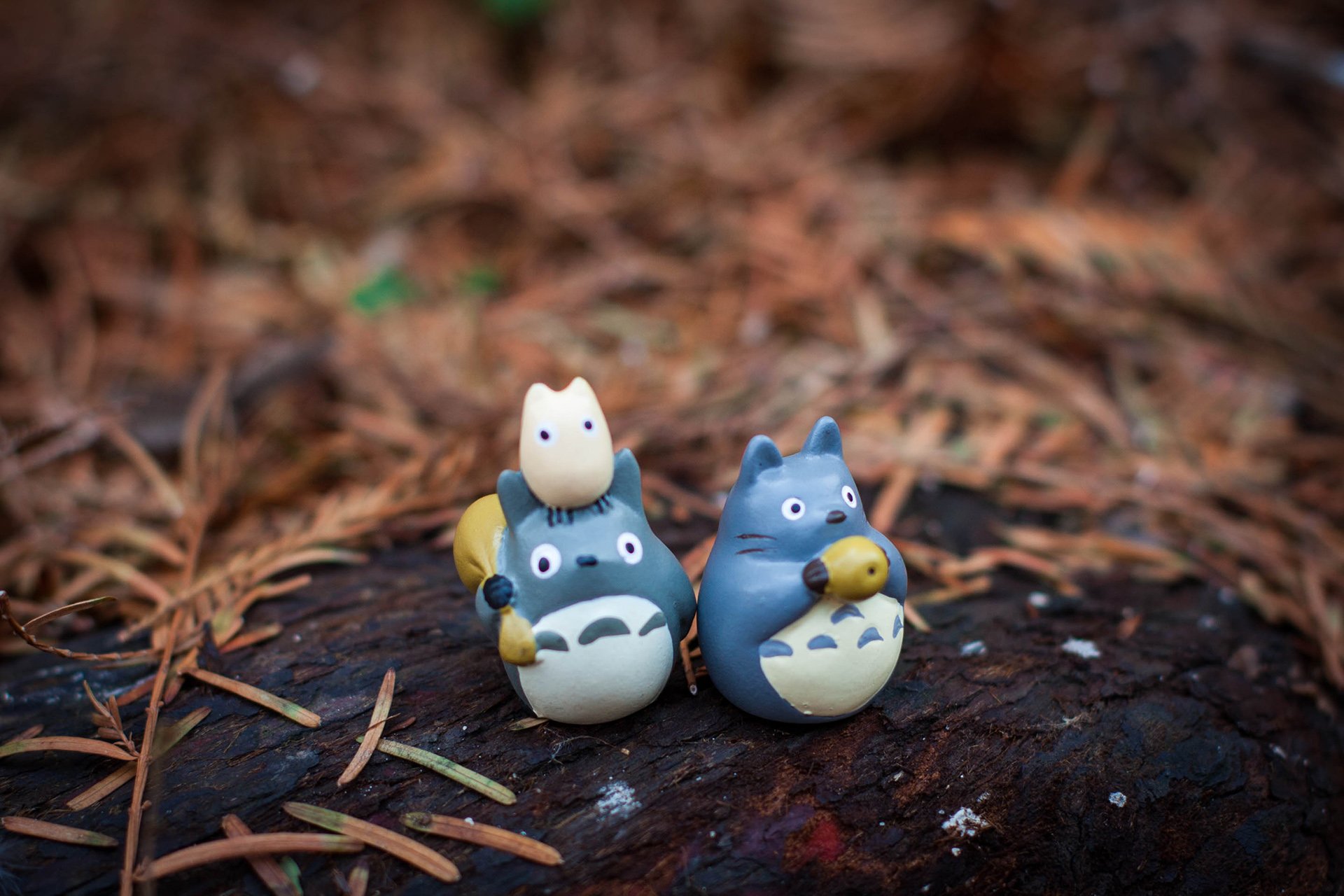 小清新 唯美 温暖 温馨一刻 静物写真 龙猫