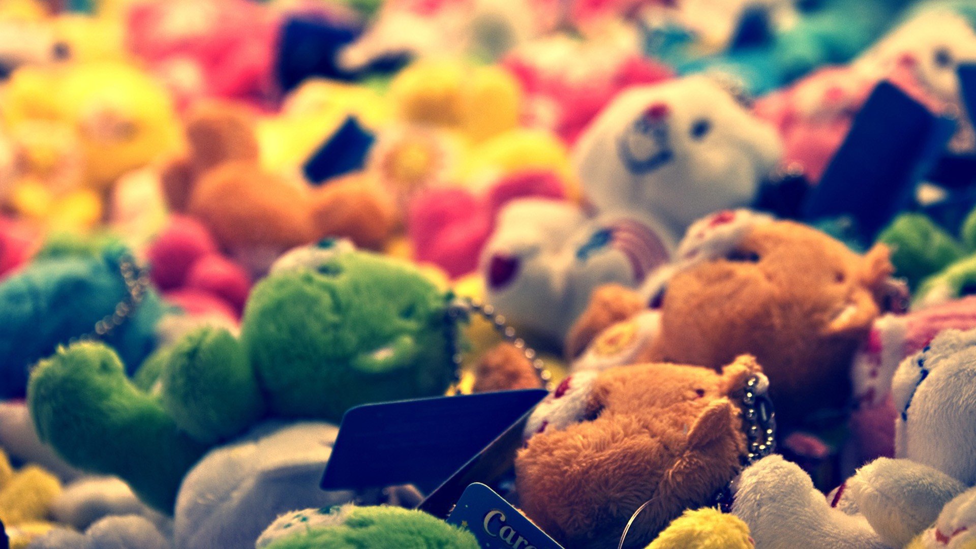 小清新 唯美 温暖 温馨一刻 静物写真