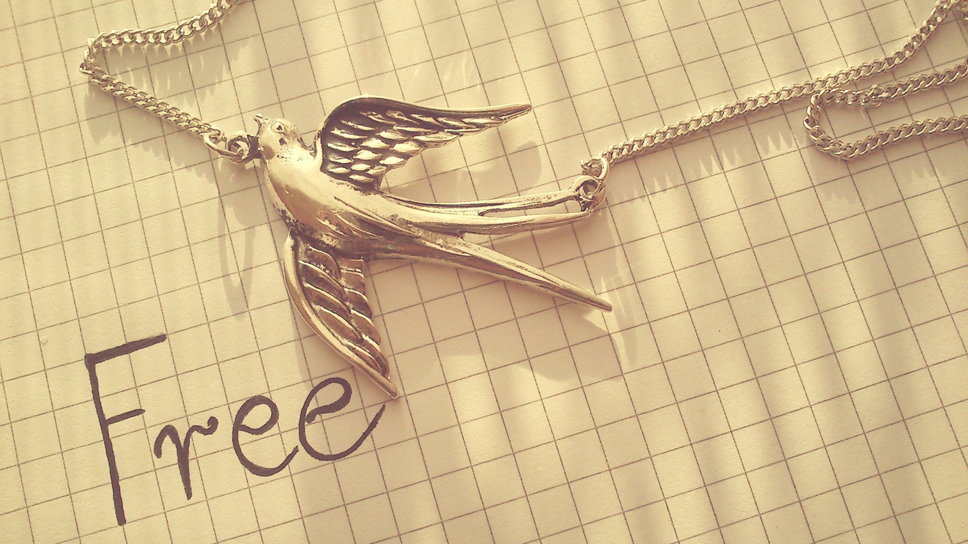 小清新 唯美 温暖 温馨一刻 静物写真