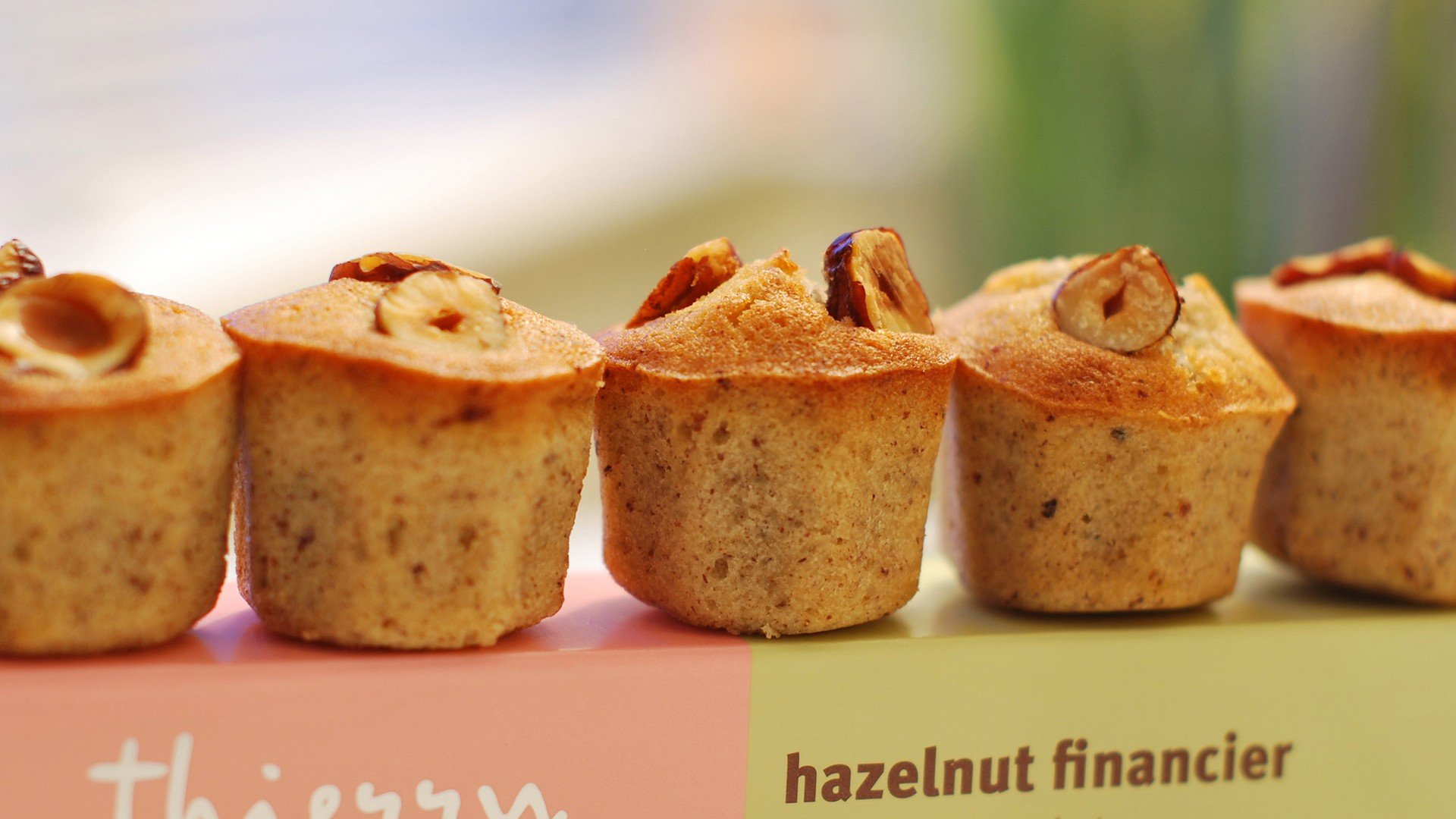 小清新 唯美 温暖 温馨一刻 静物写真