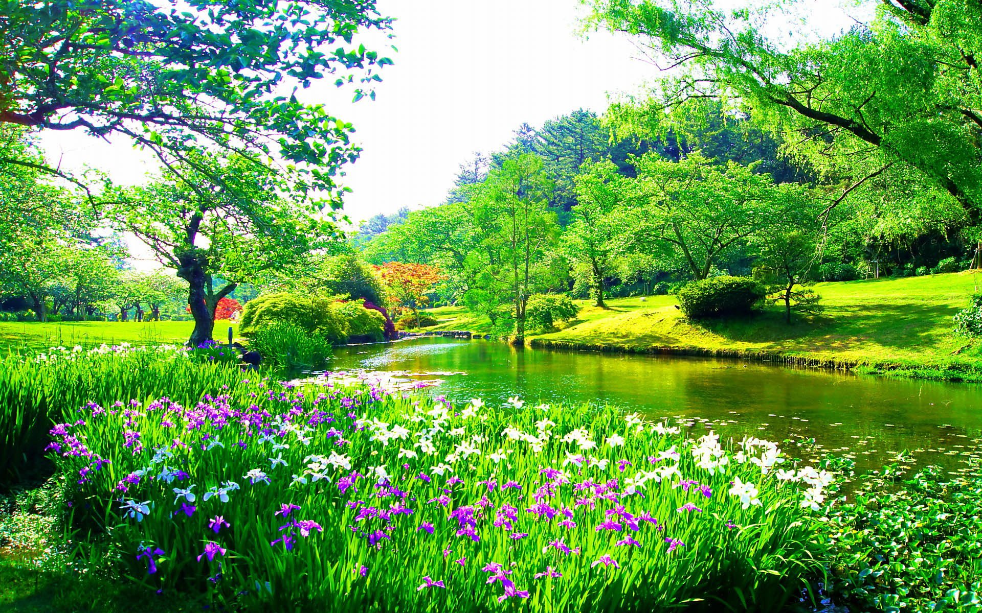 小清新 唯美  娇艳欲滴 花儿 春天 唯美 温暖 温馨一刻  清新淡雅 鸟语花香