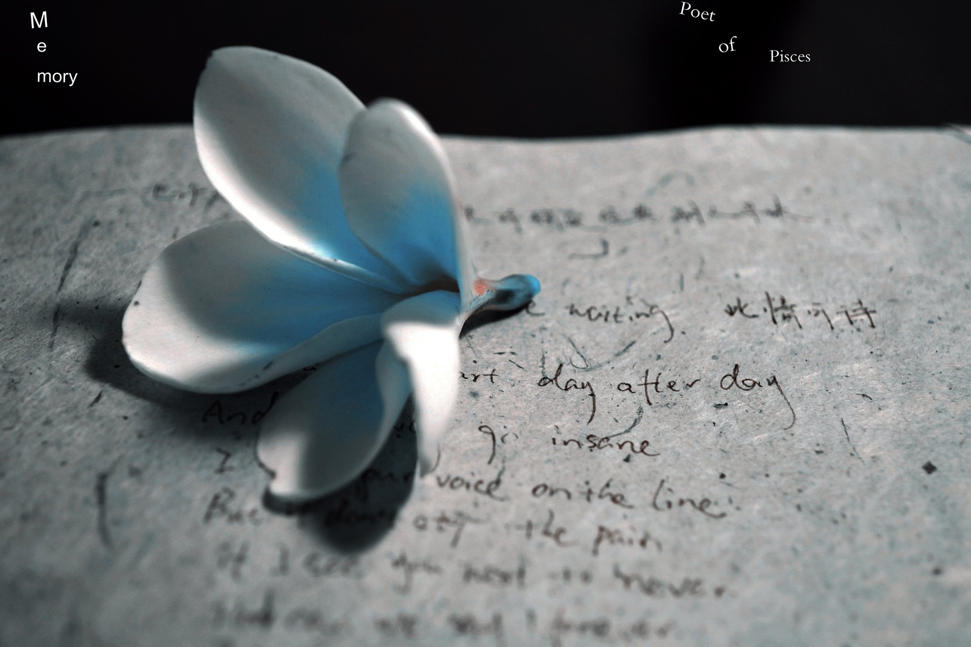 小清新 唯美 温暖 安静