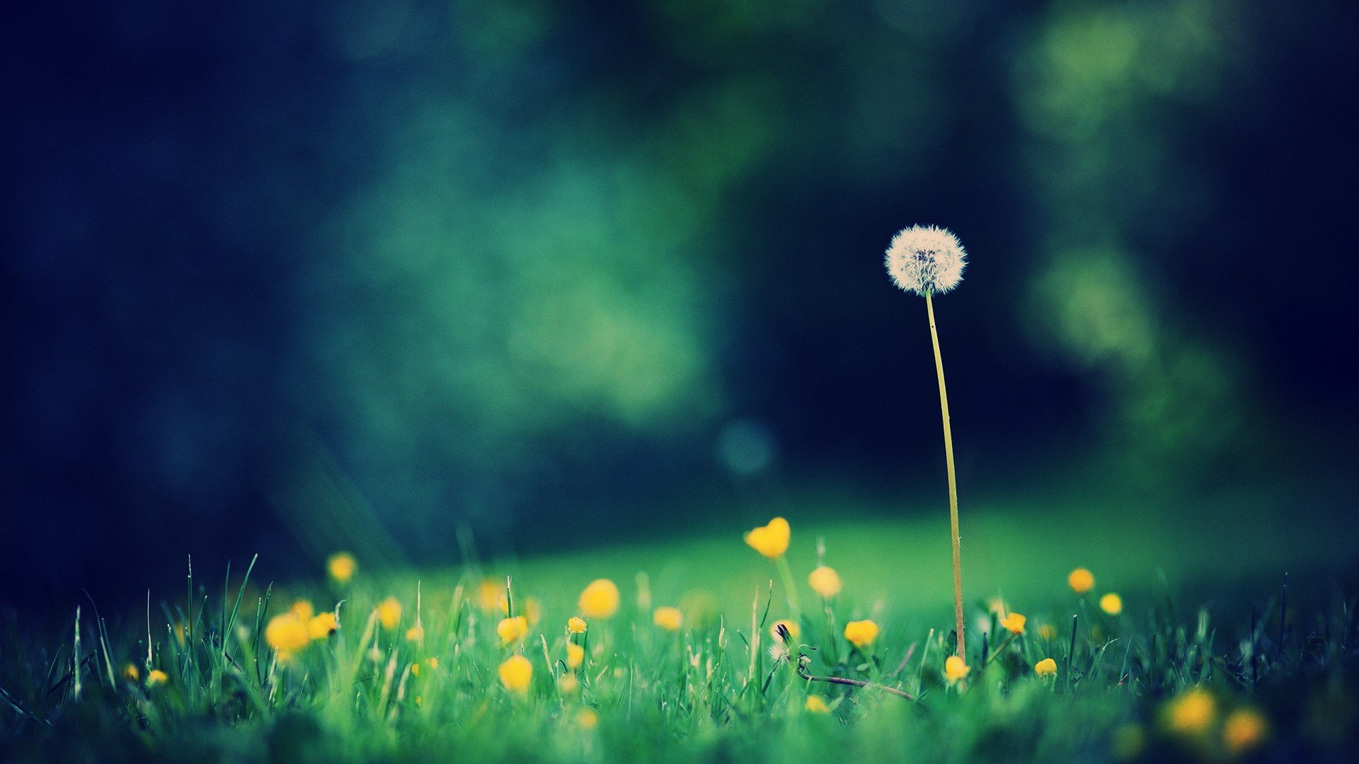 小清新 唯美 温暖 安静