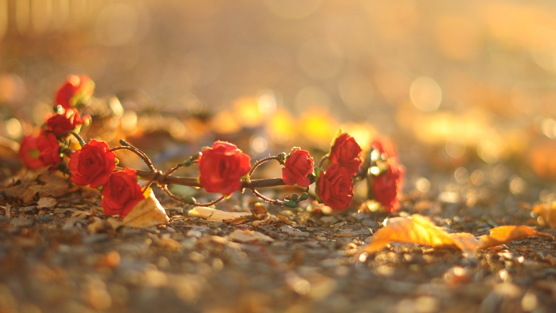 小清新 唯美 温暖 安静