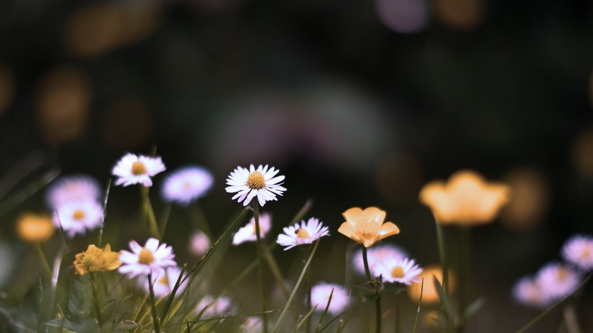 小清新 唯美 温暖 安静