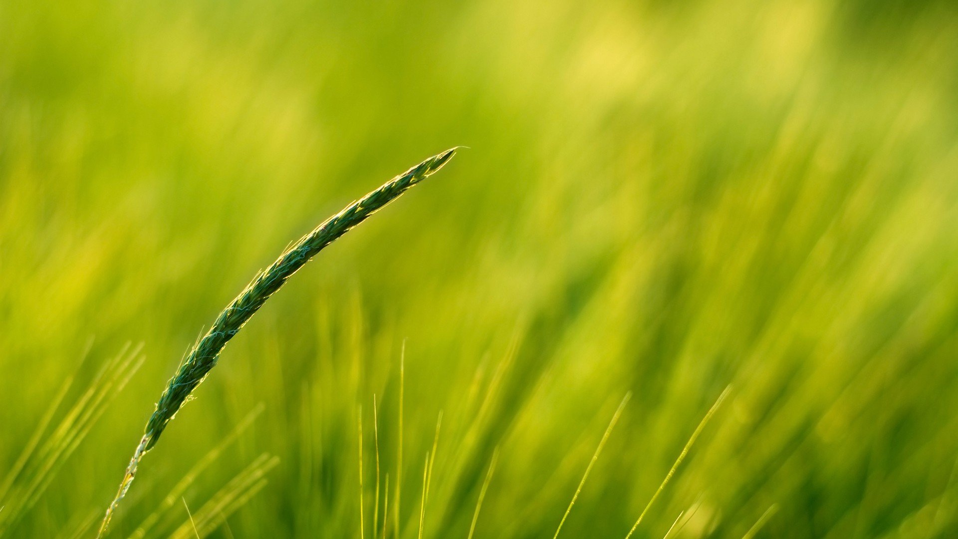 小清新 唯美 温暖 安静