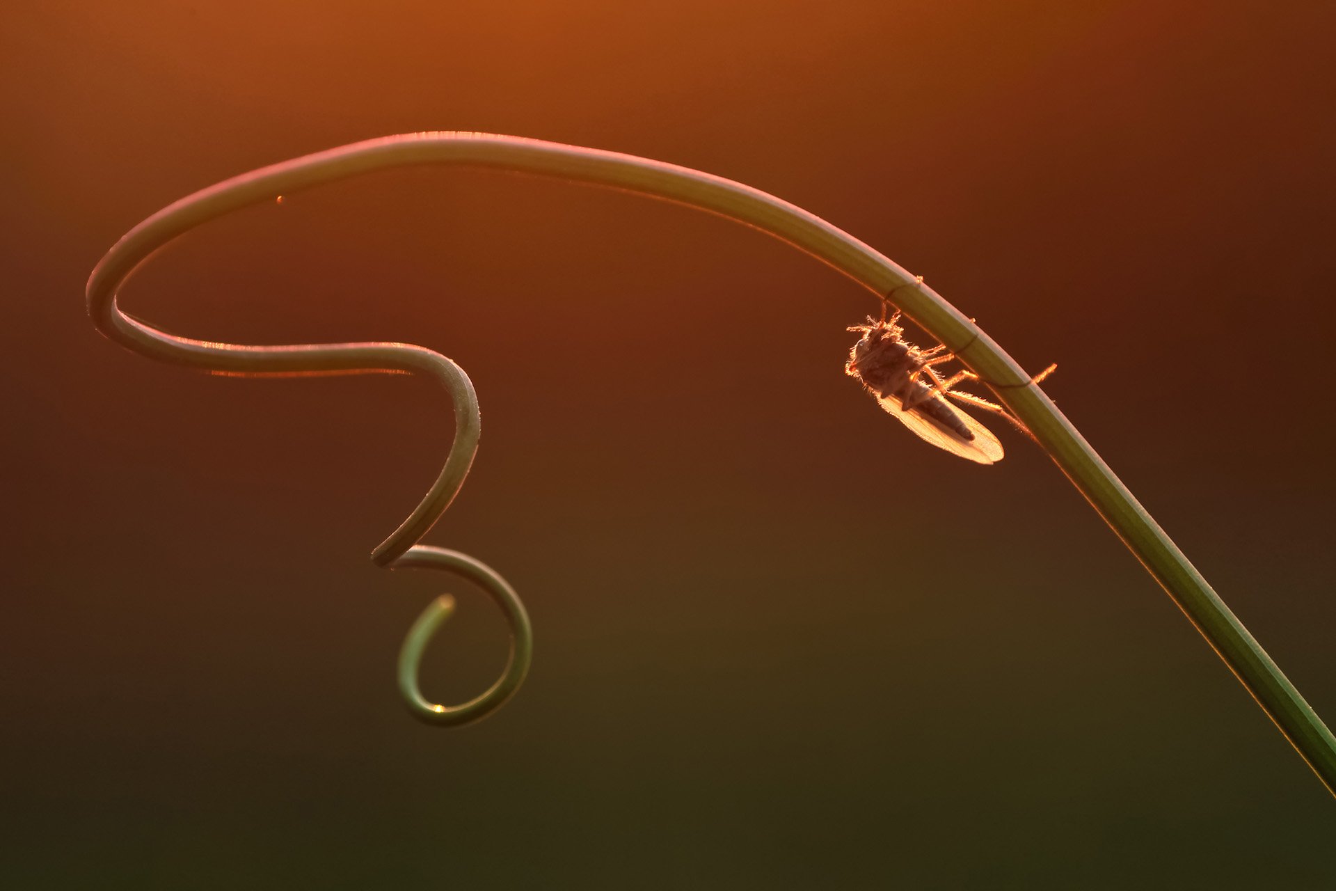 小清新 唯美 温暖 安静