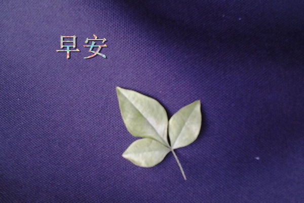 小清新 唯美 温暖 安静