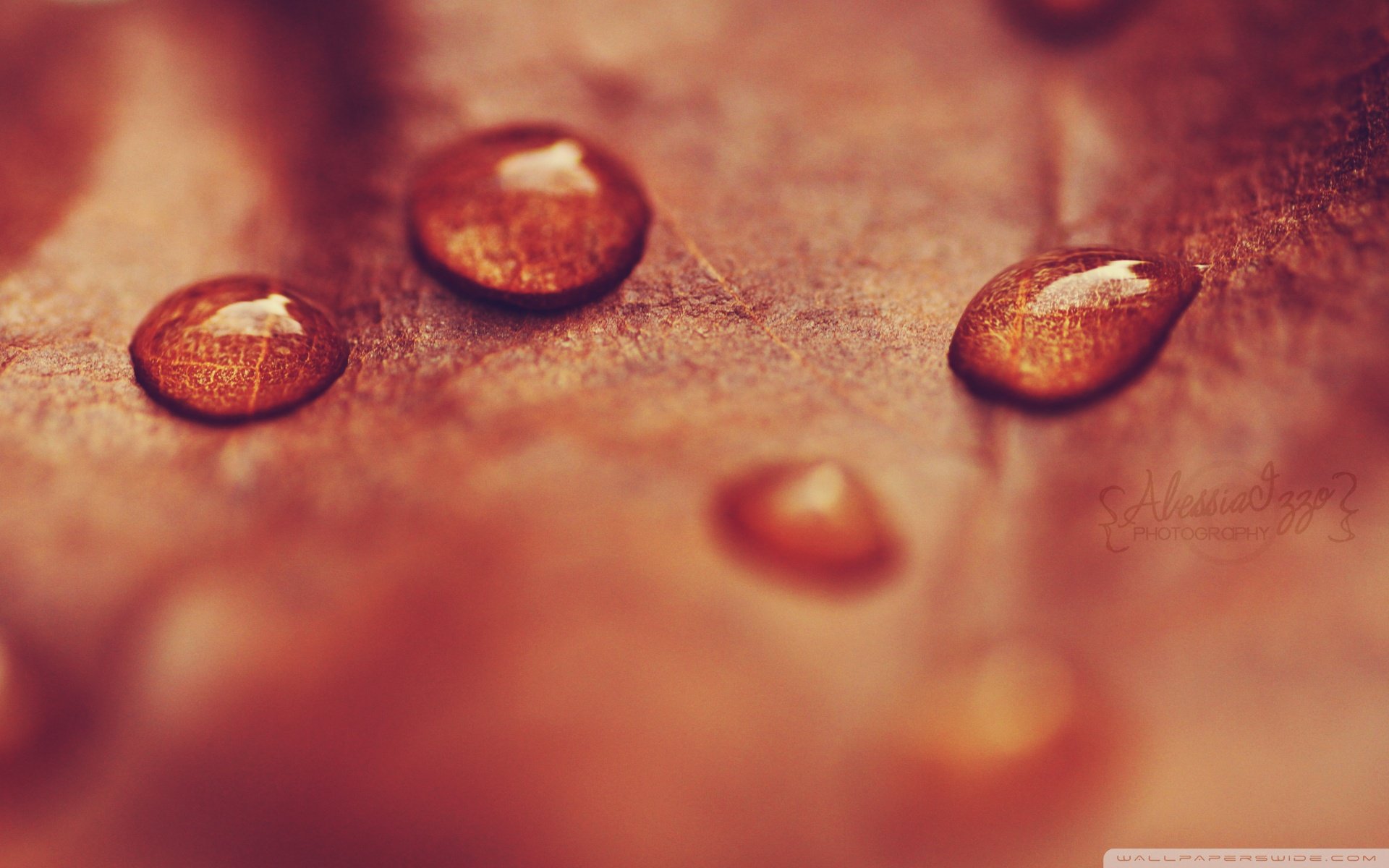 炫酷 简约 质感 特效