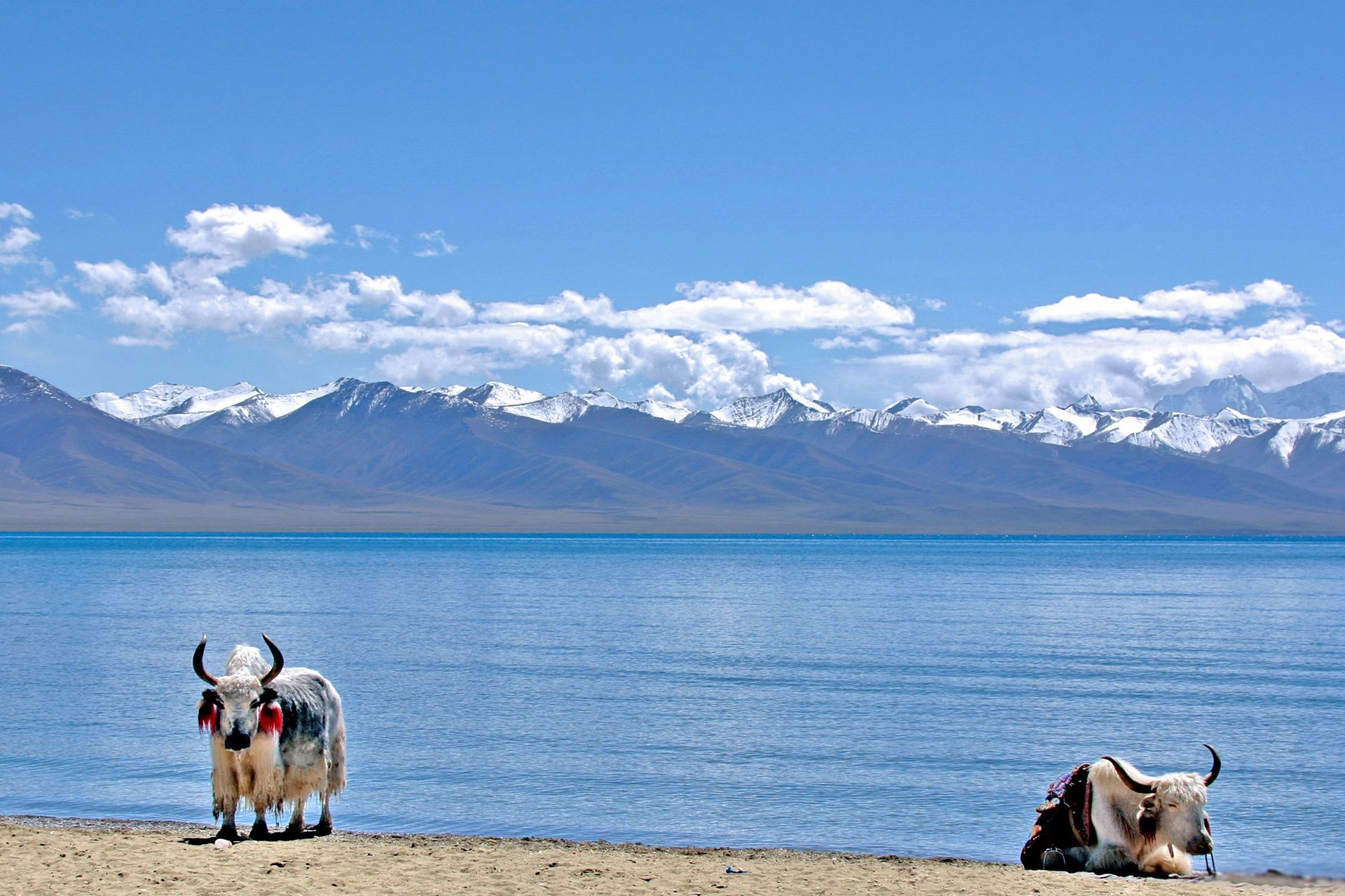 风景 自然风光 旅行 天堂 西藏 旅游胜地 自由 净化心灵