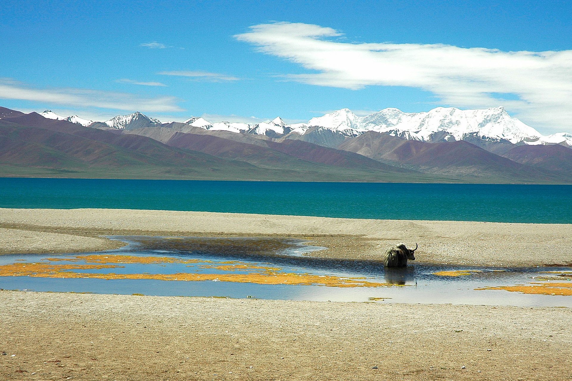 风景 自然风光 旅行 天堂 西藏 旅游胜地 自由 净化心灵