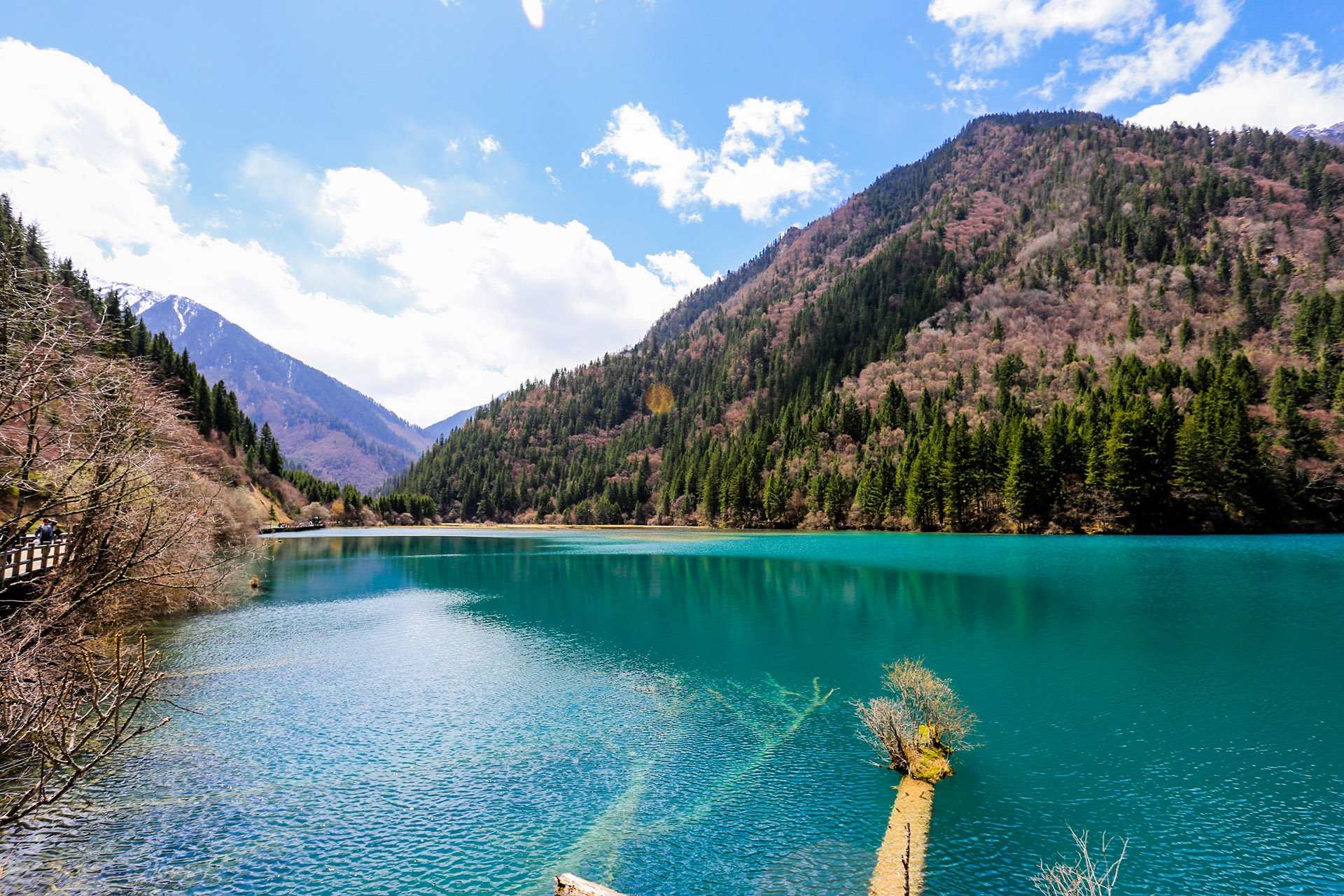 自然风光 绿色 清新 唯美 意境 炎炎夏日 旅游胜地 风景